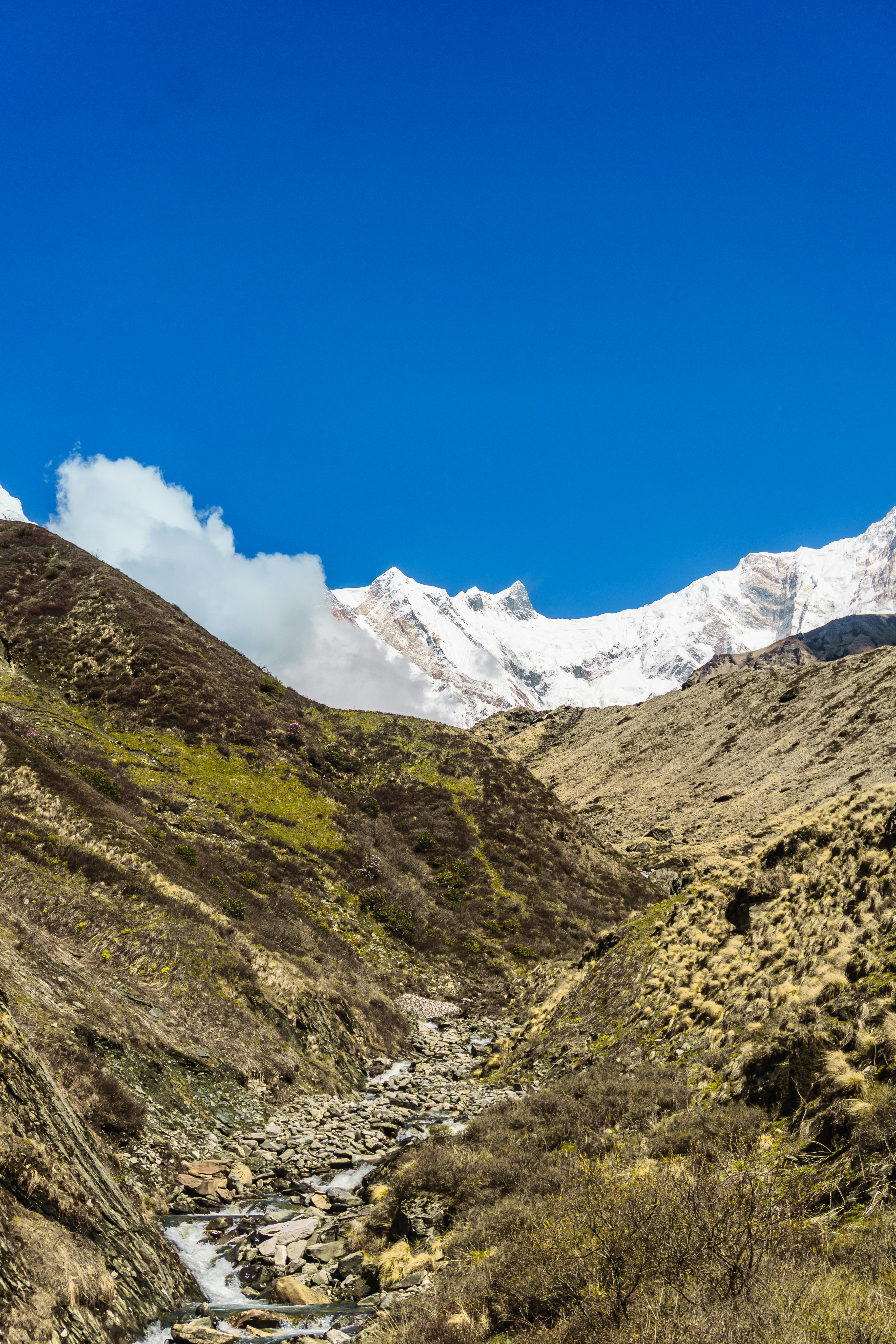 Photo by abdulkayum97