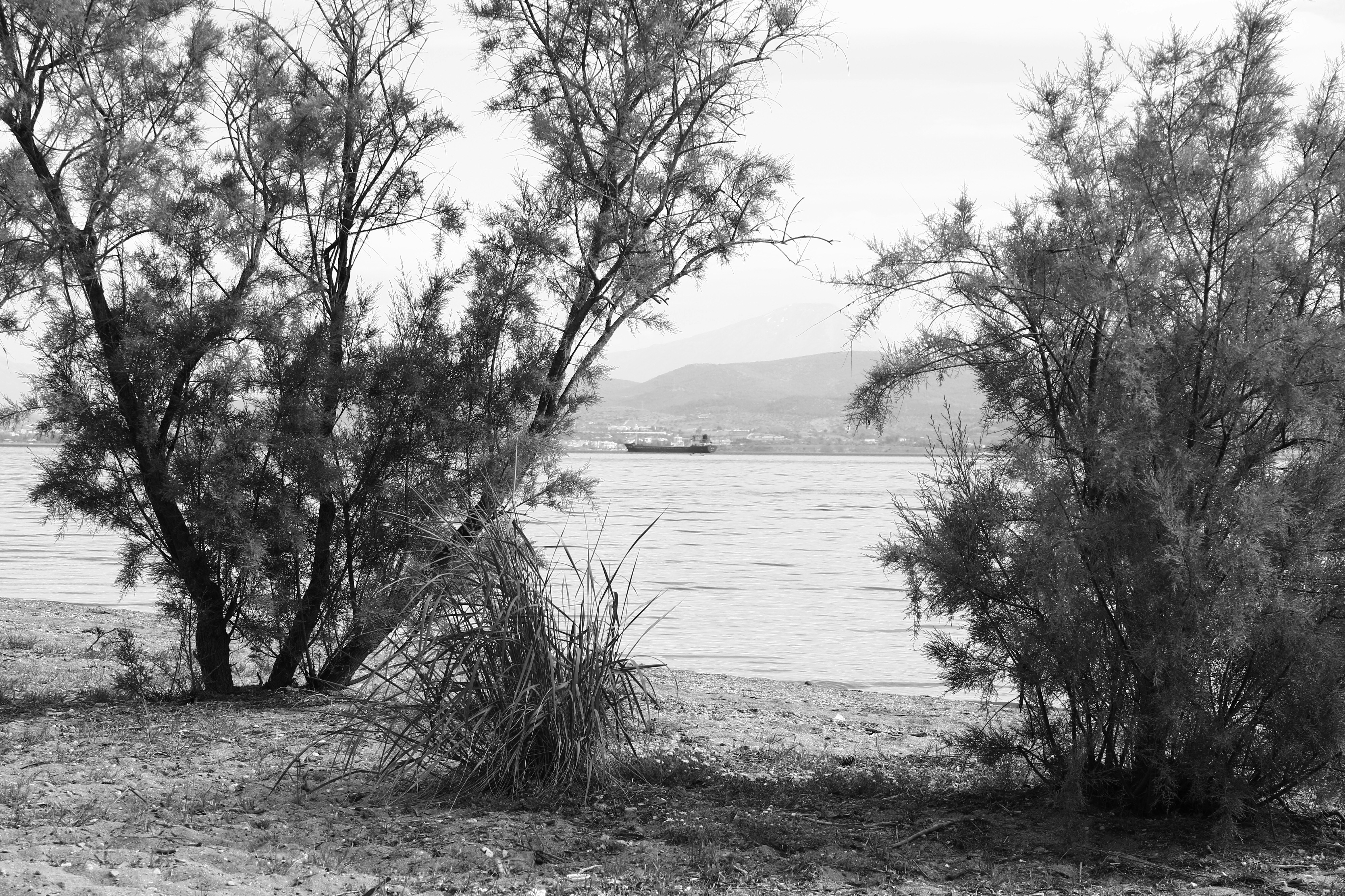 Photo by mary_karletsoy