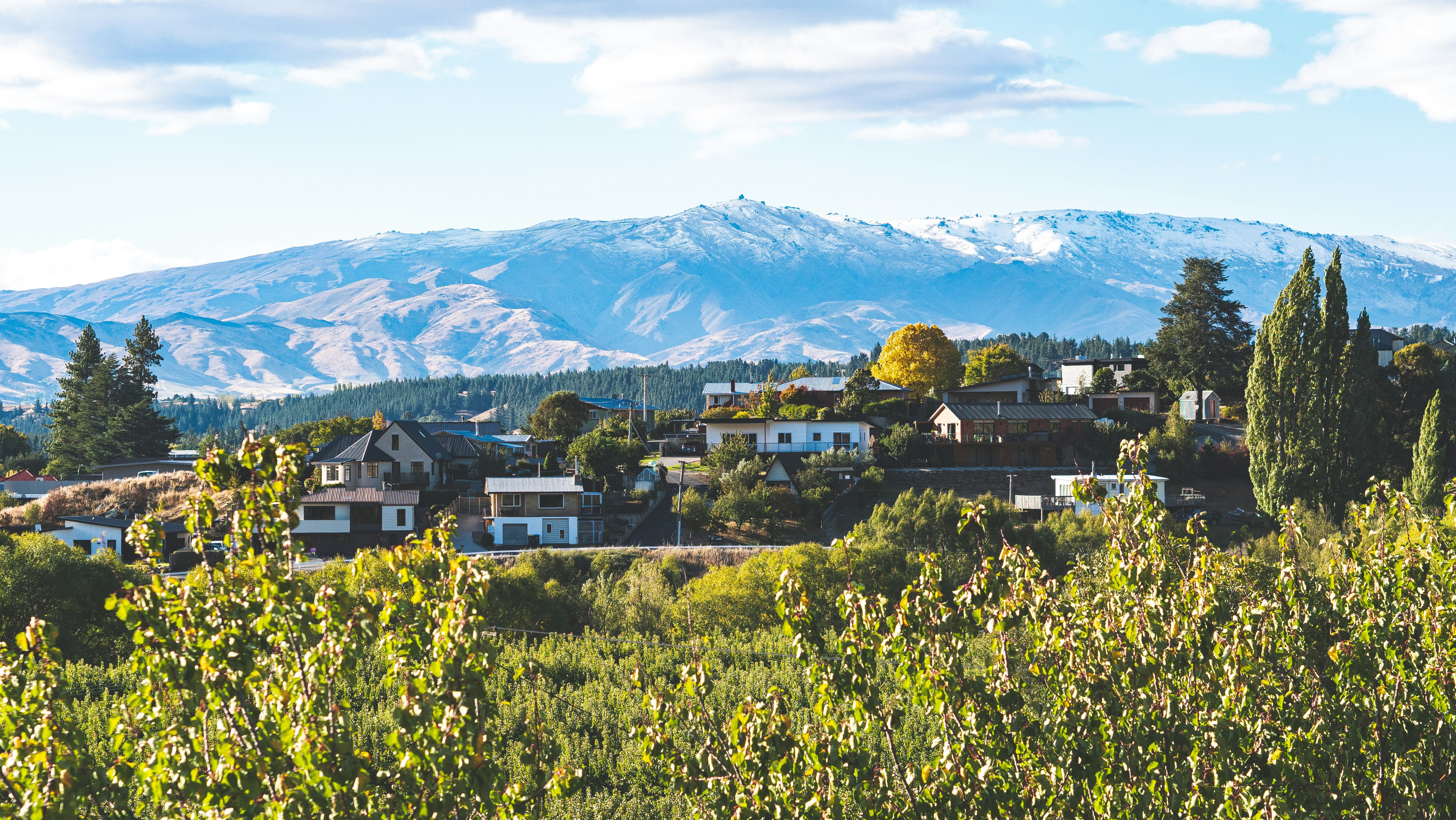 A view of a town with mountains in the background