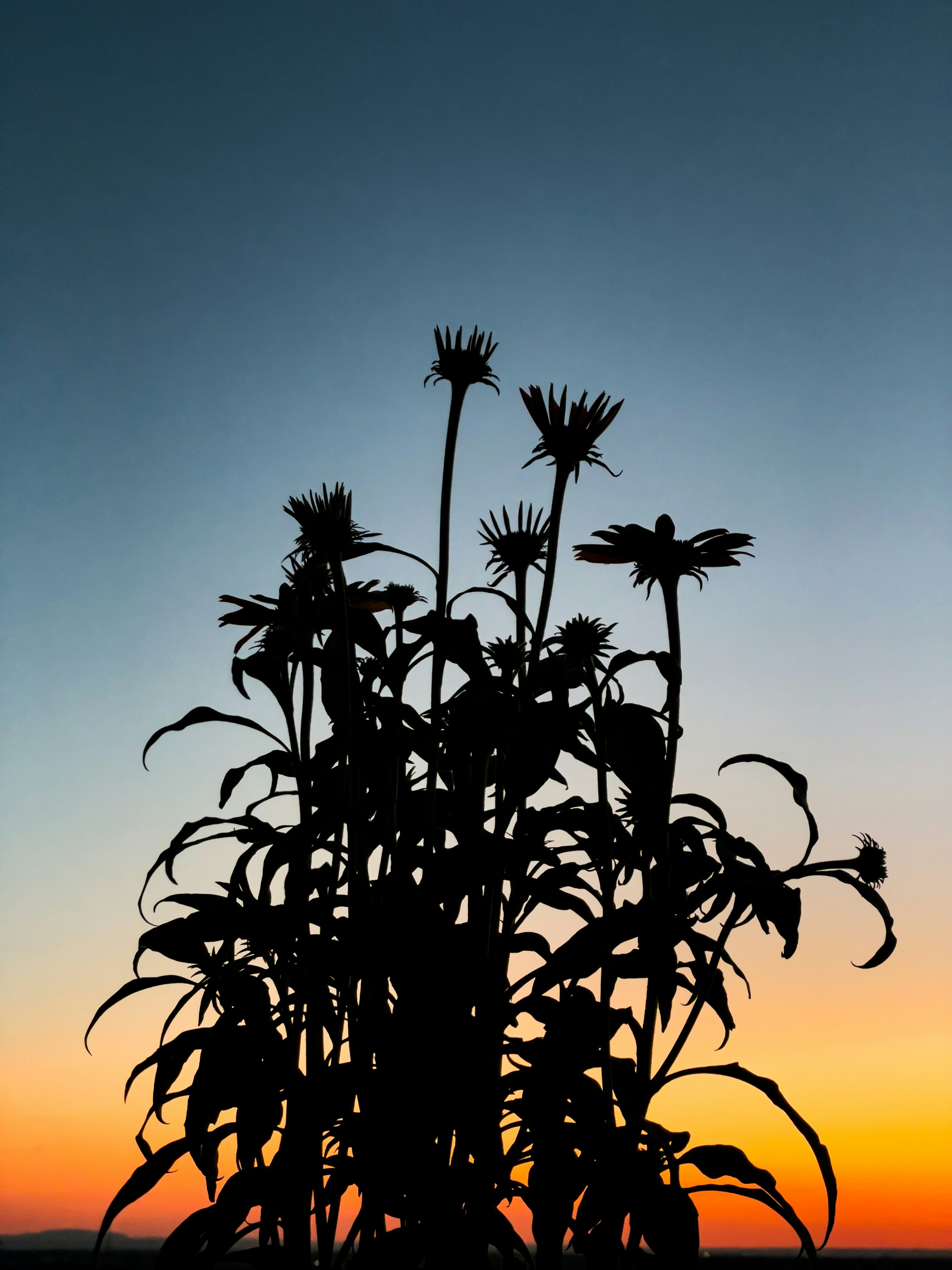 Photo by hdbernd