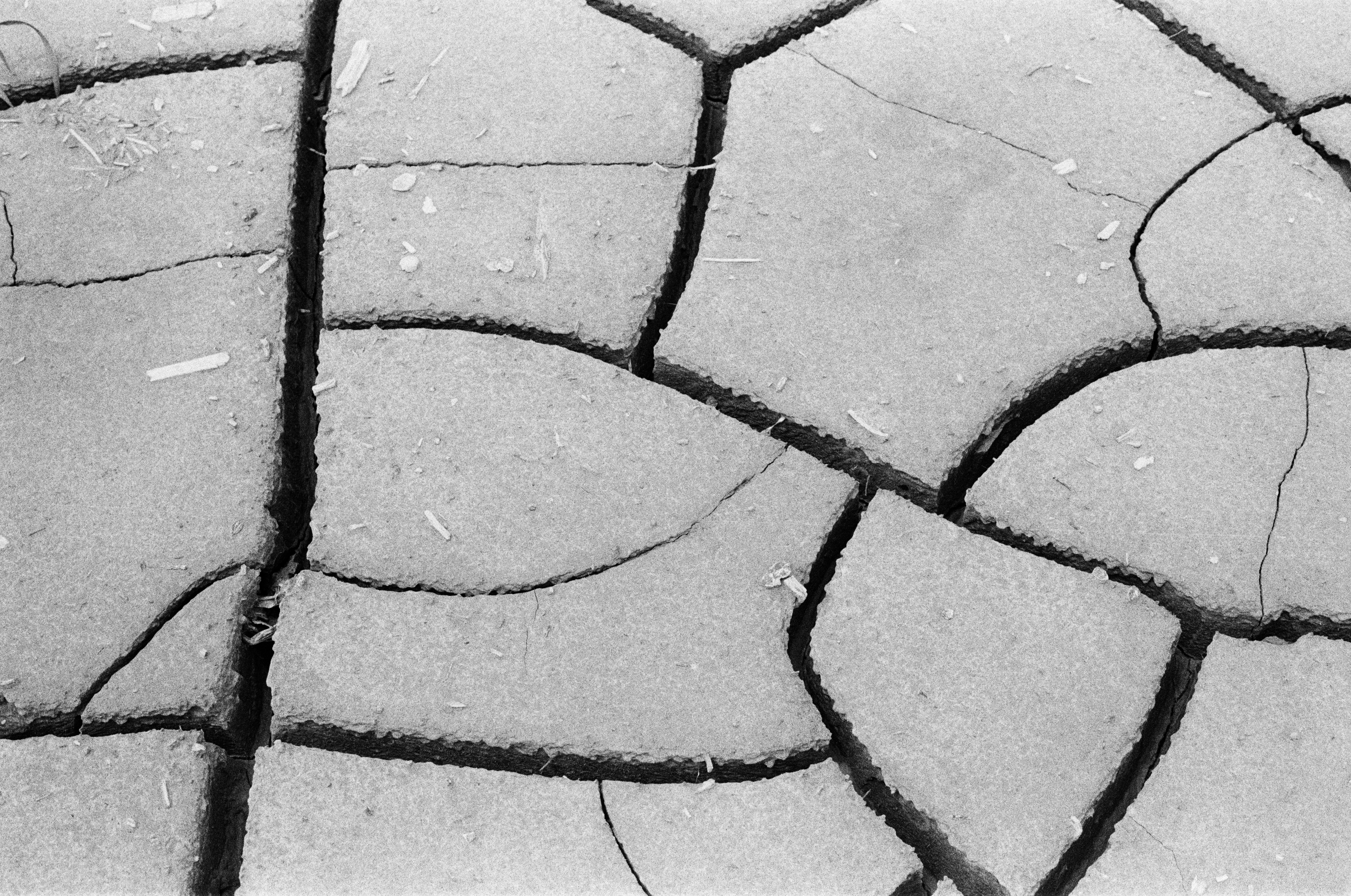 A black and white photo of a cracked surface
