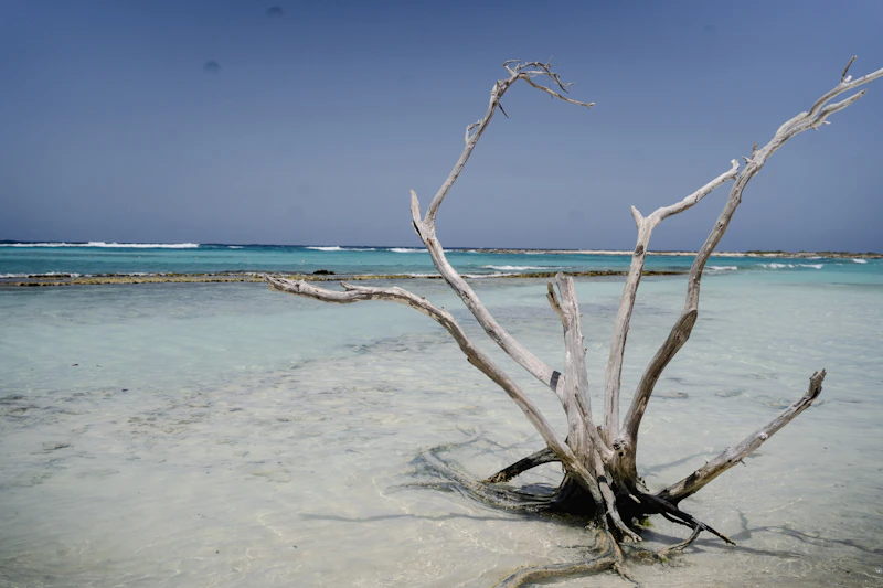 Baby Beach, en el sur de Aruba