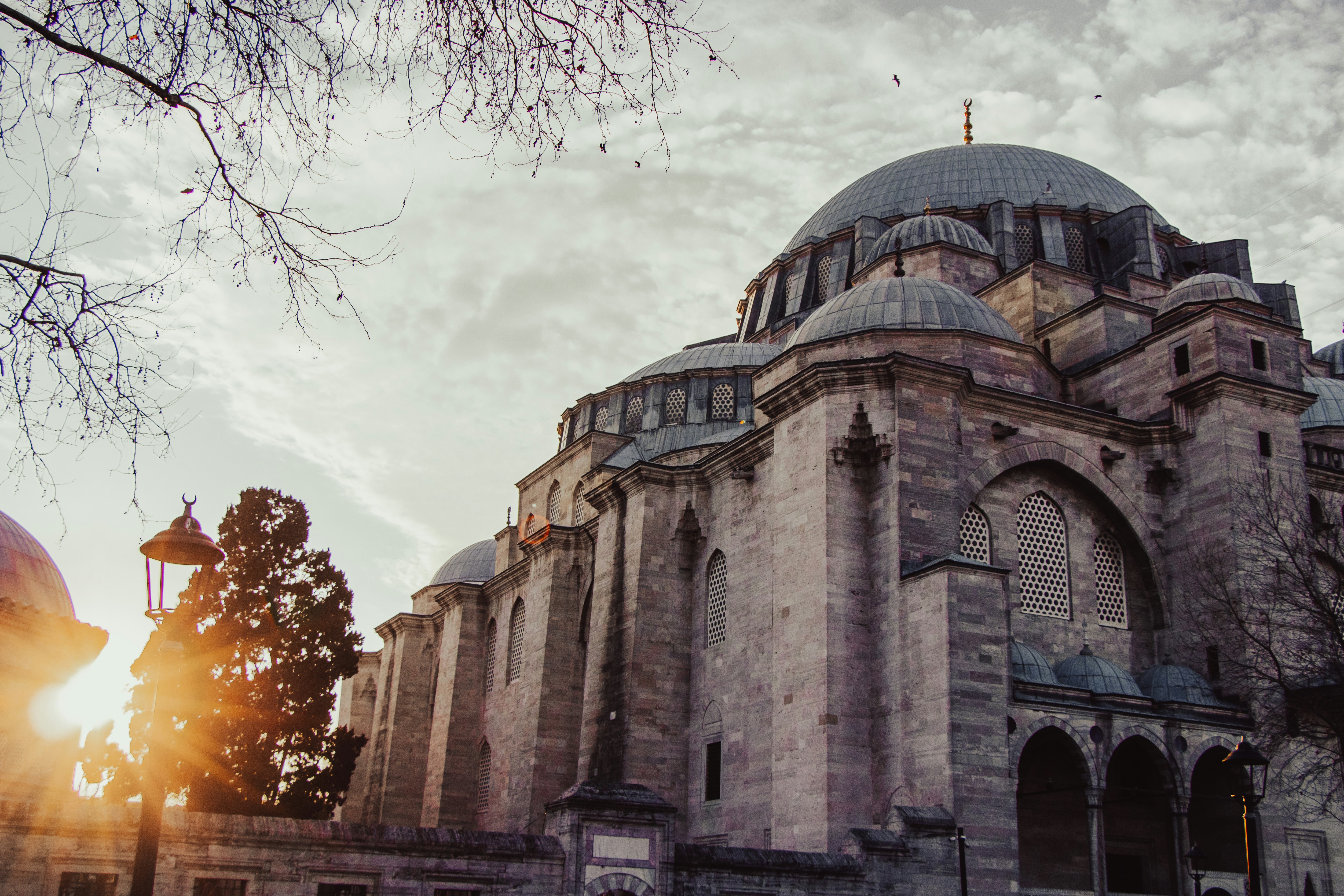 Photo by burakbasgoze