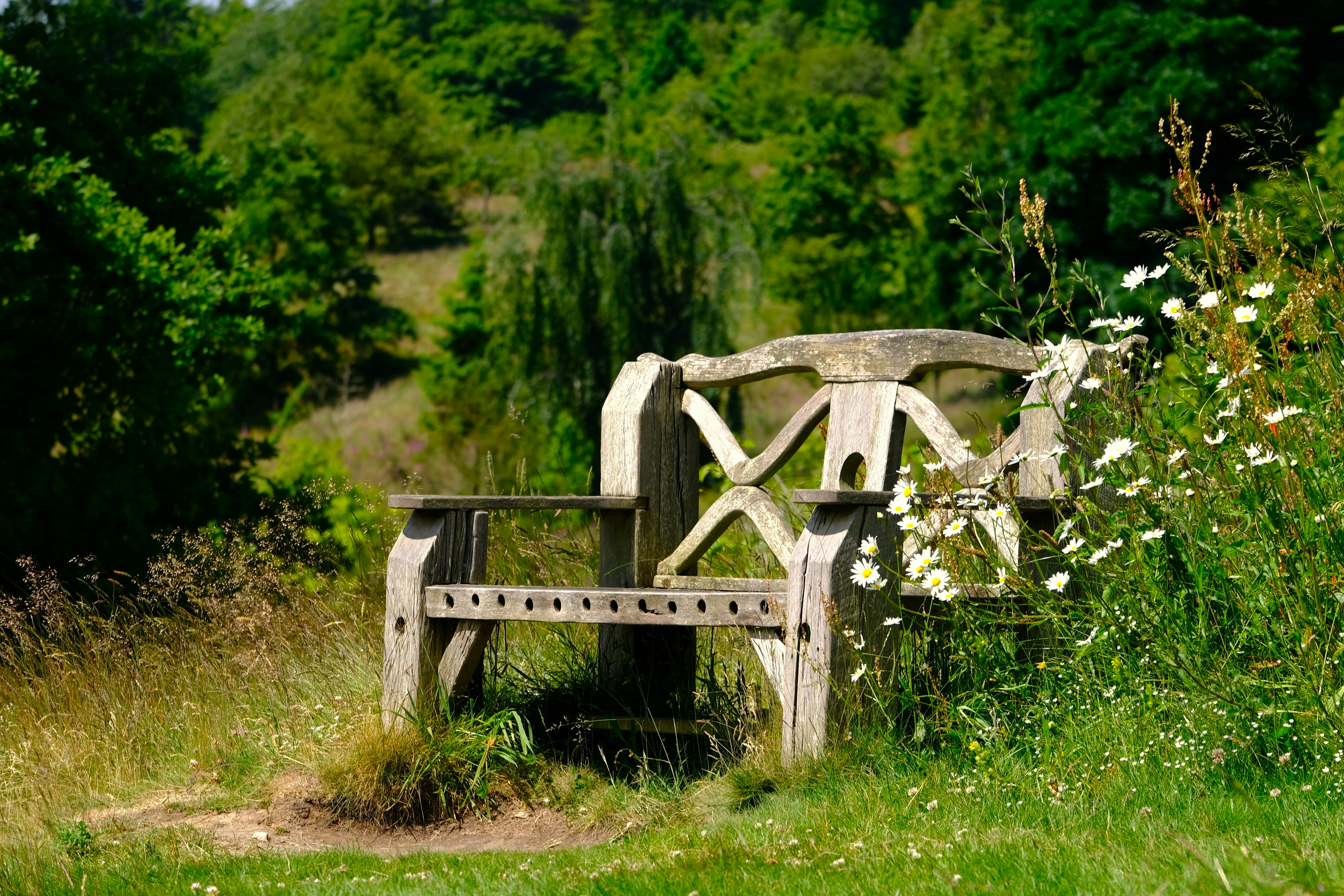 Photo by rory_tucker_photography