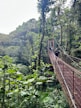 A man walking across a red bridge in the middle of a forest