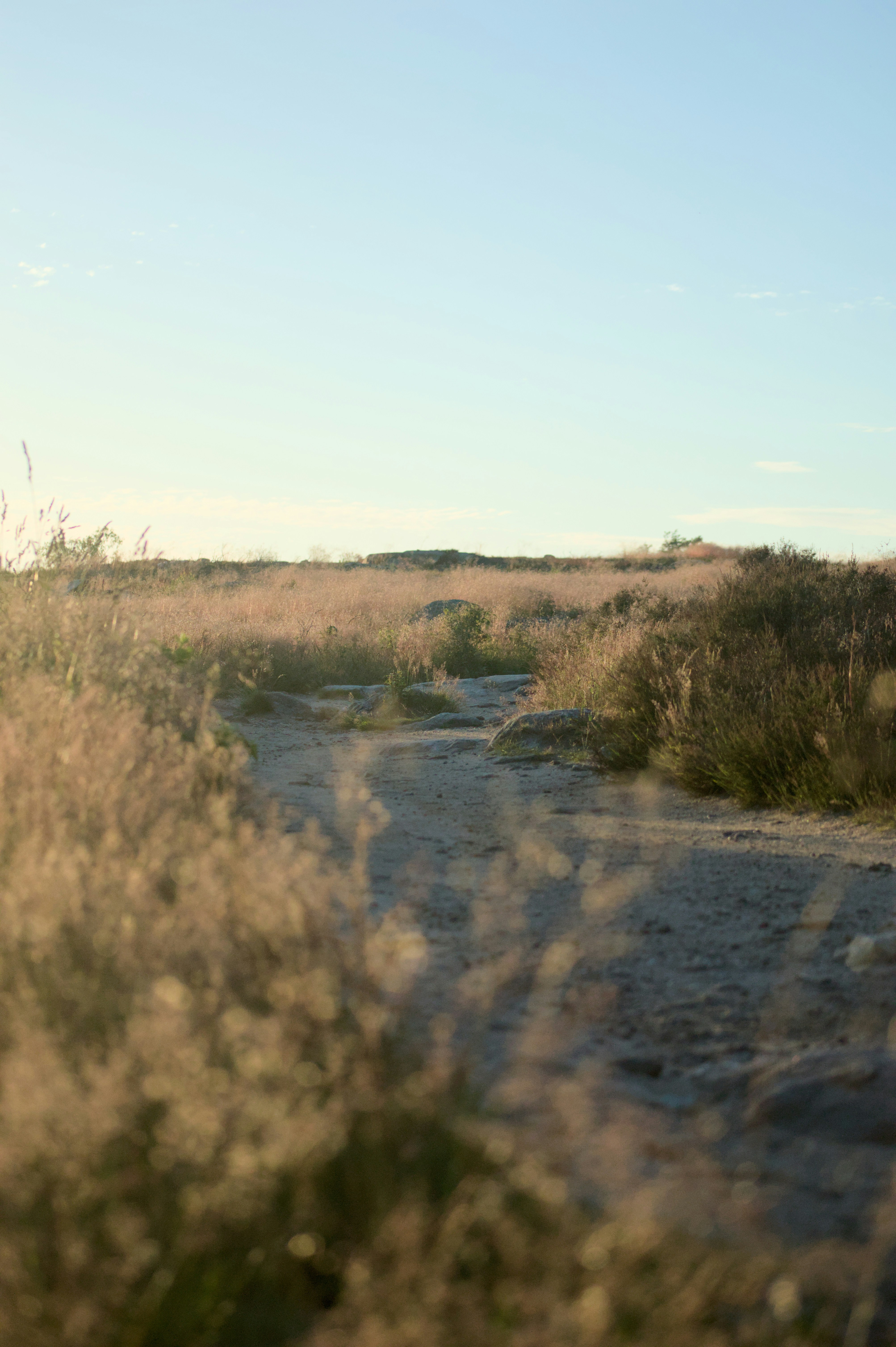 A small stream running through a dry grass covered field