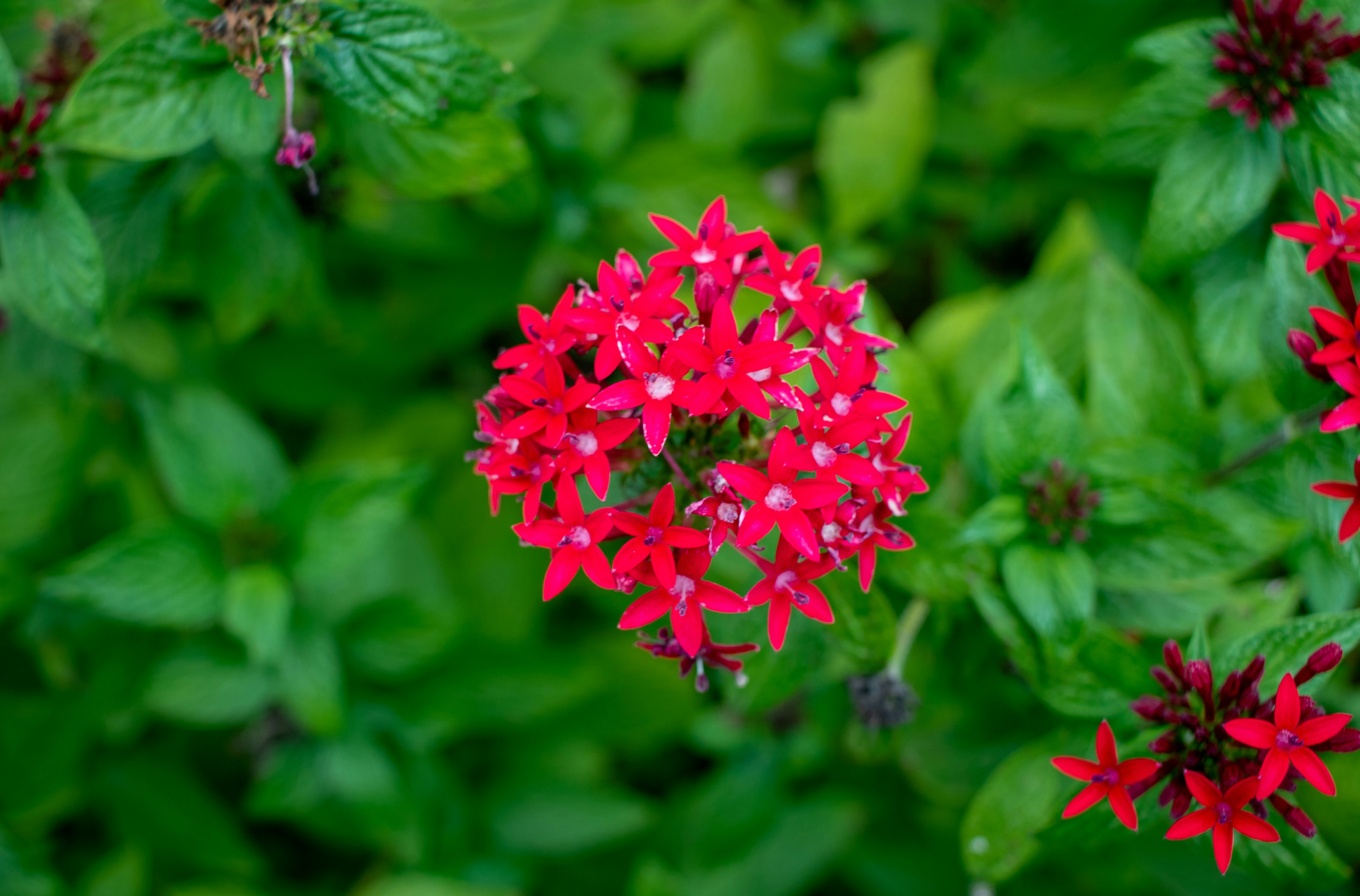 Photo by zoshuacolah