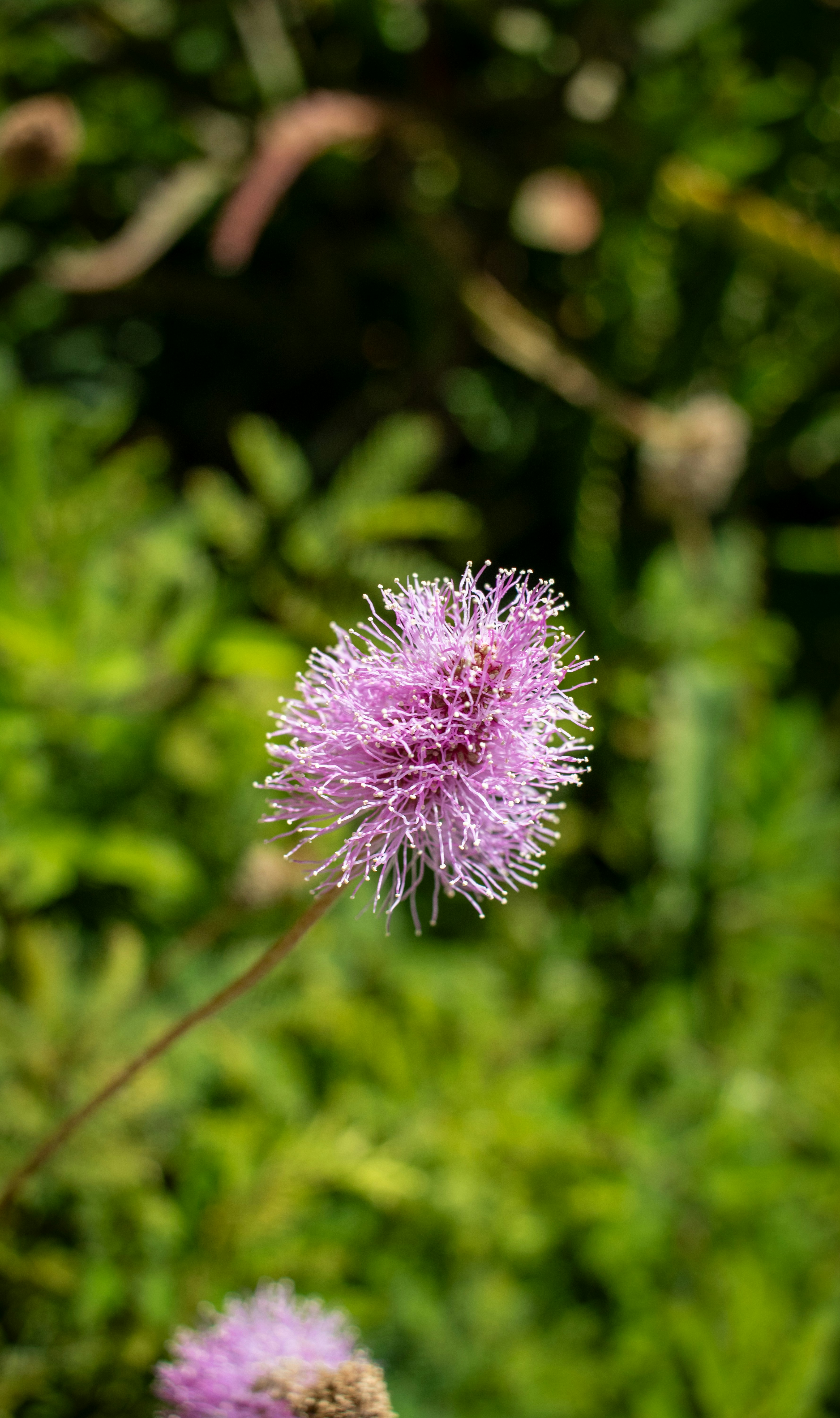 Photo by zoshuacolah