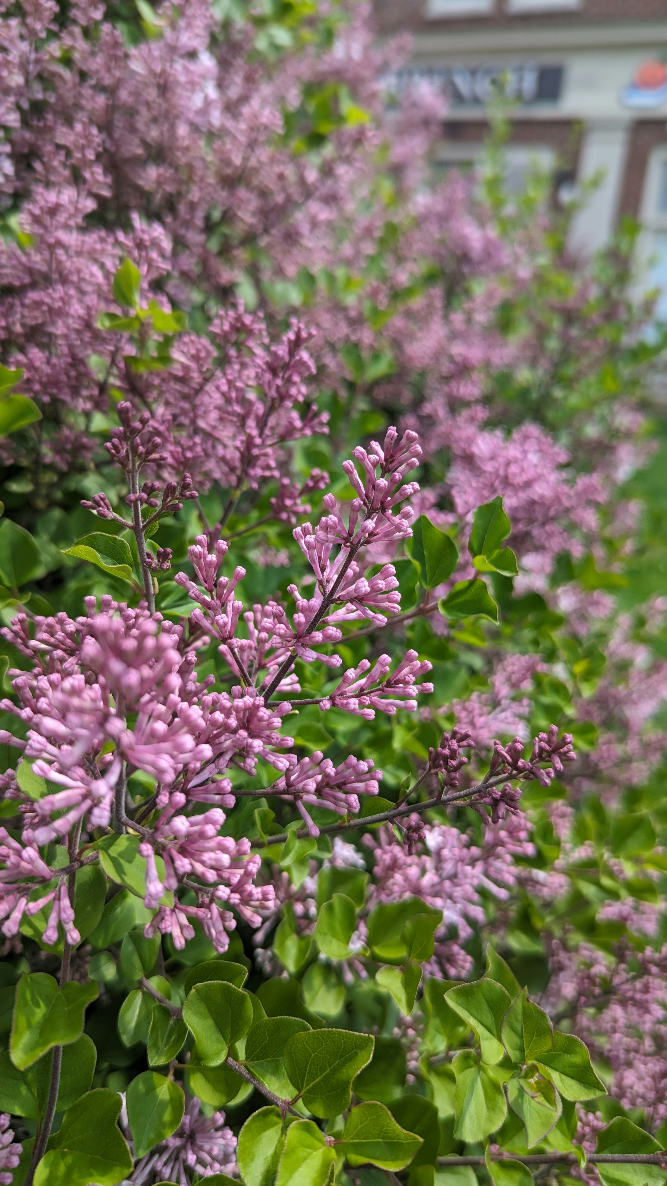 Photo by harpalvaghela11