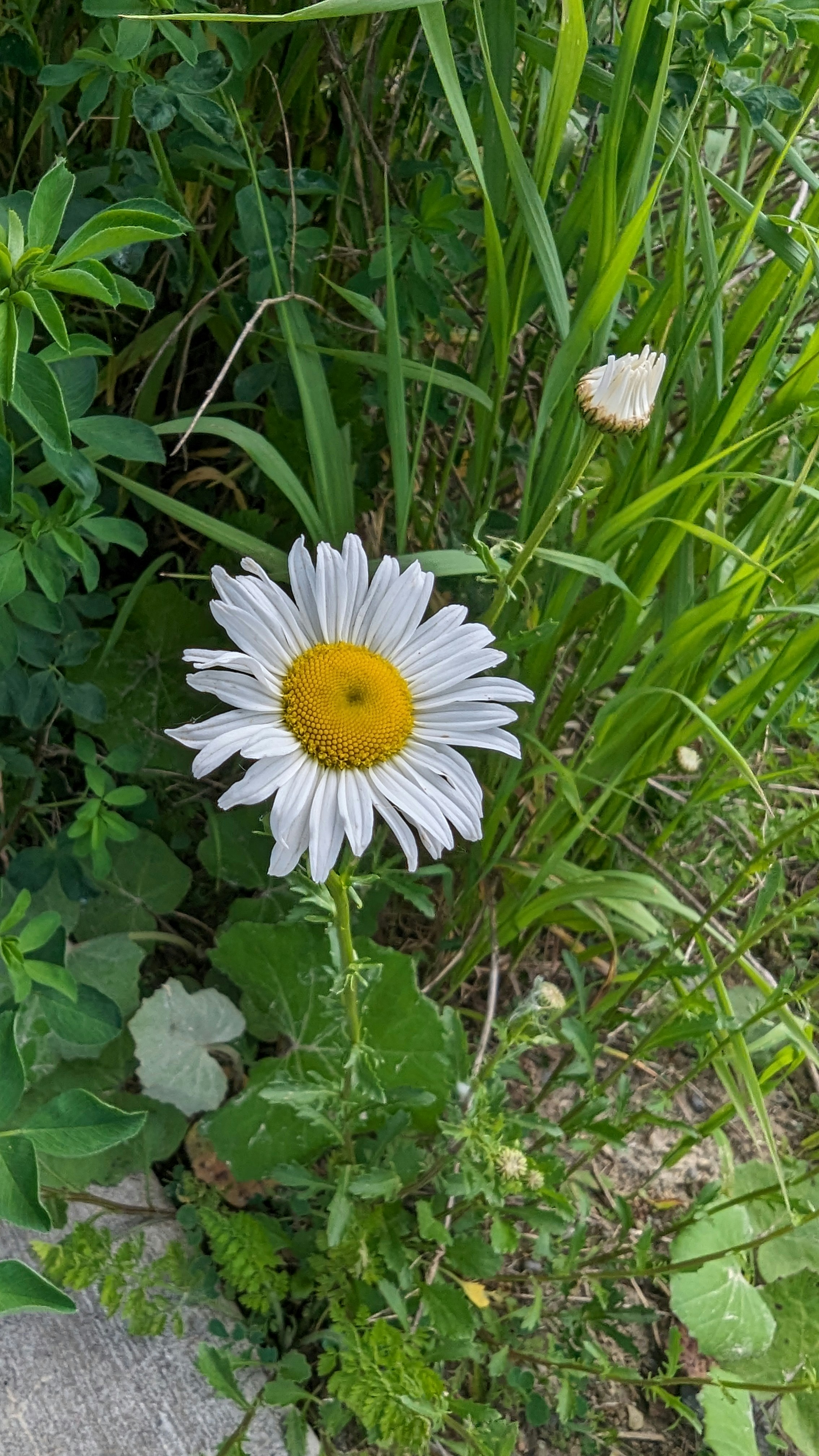 Photo by harpalvaghela11