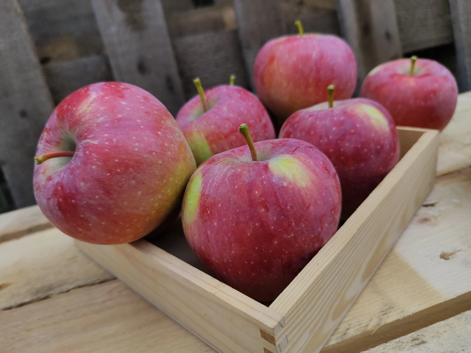 Apples in a pale wooden tray
