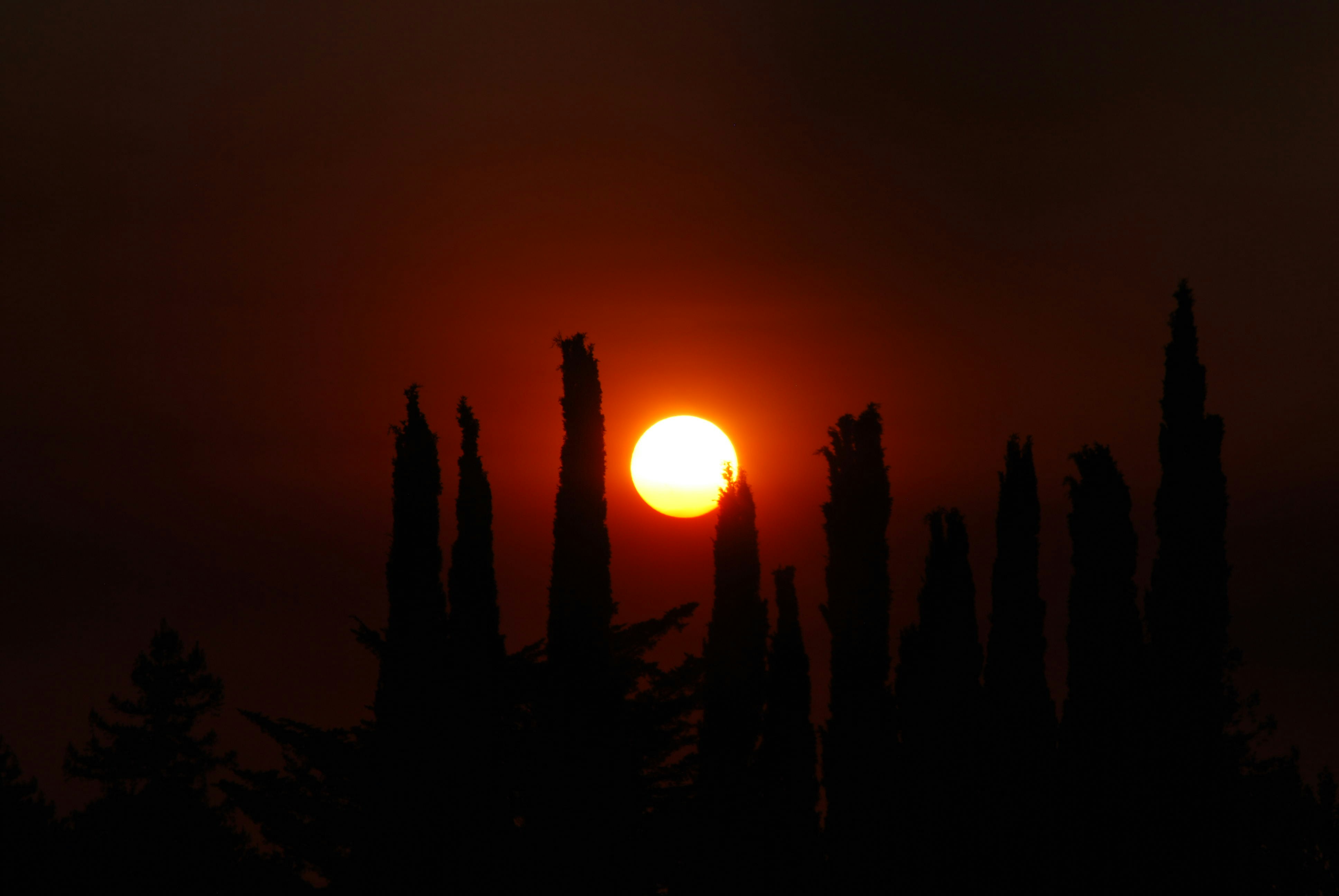The sun is setting behind some trees