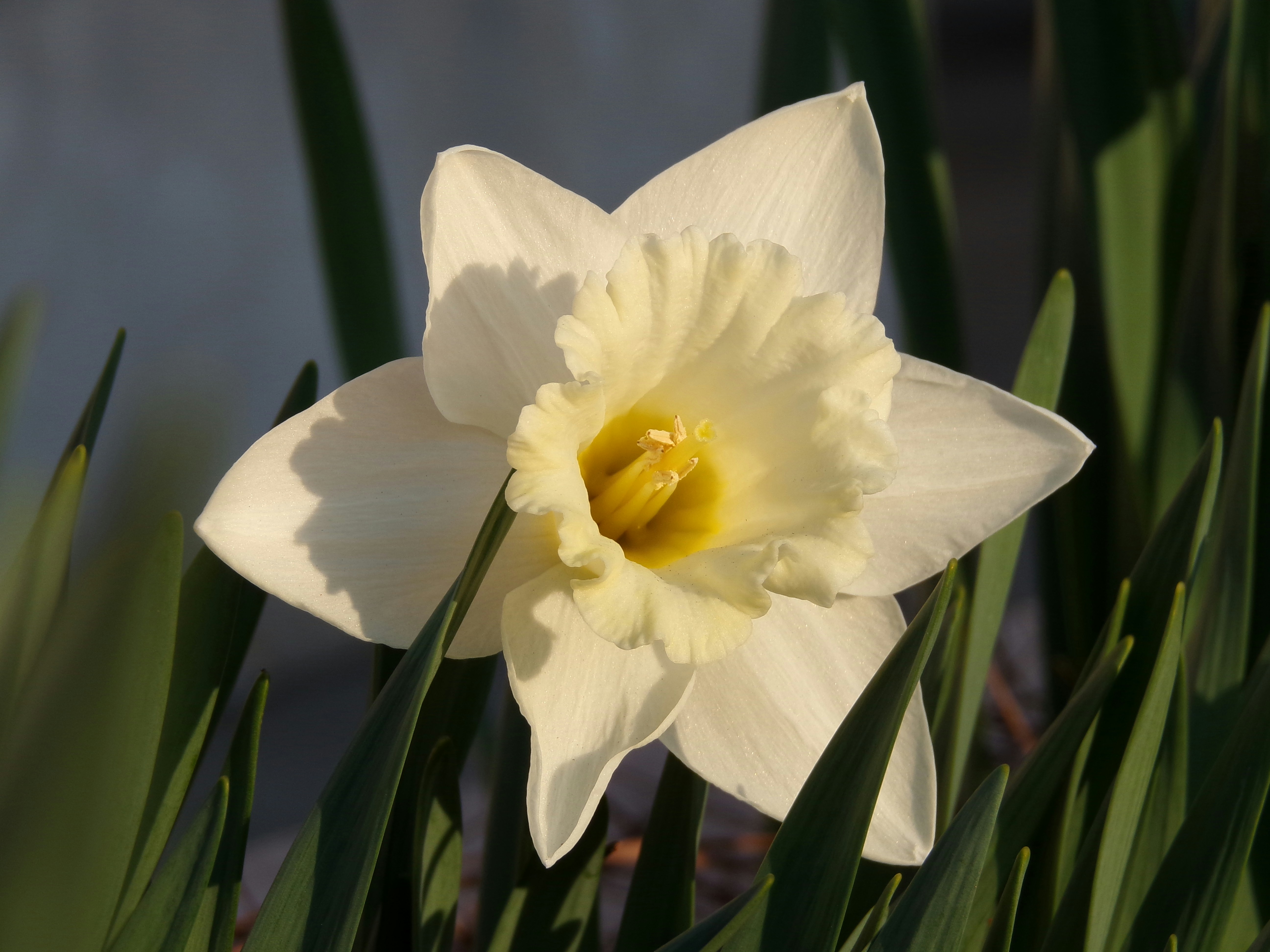 Photo by esmeraldaea