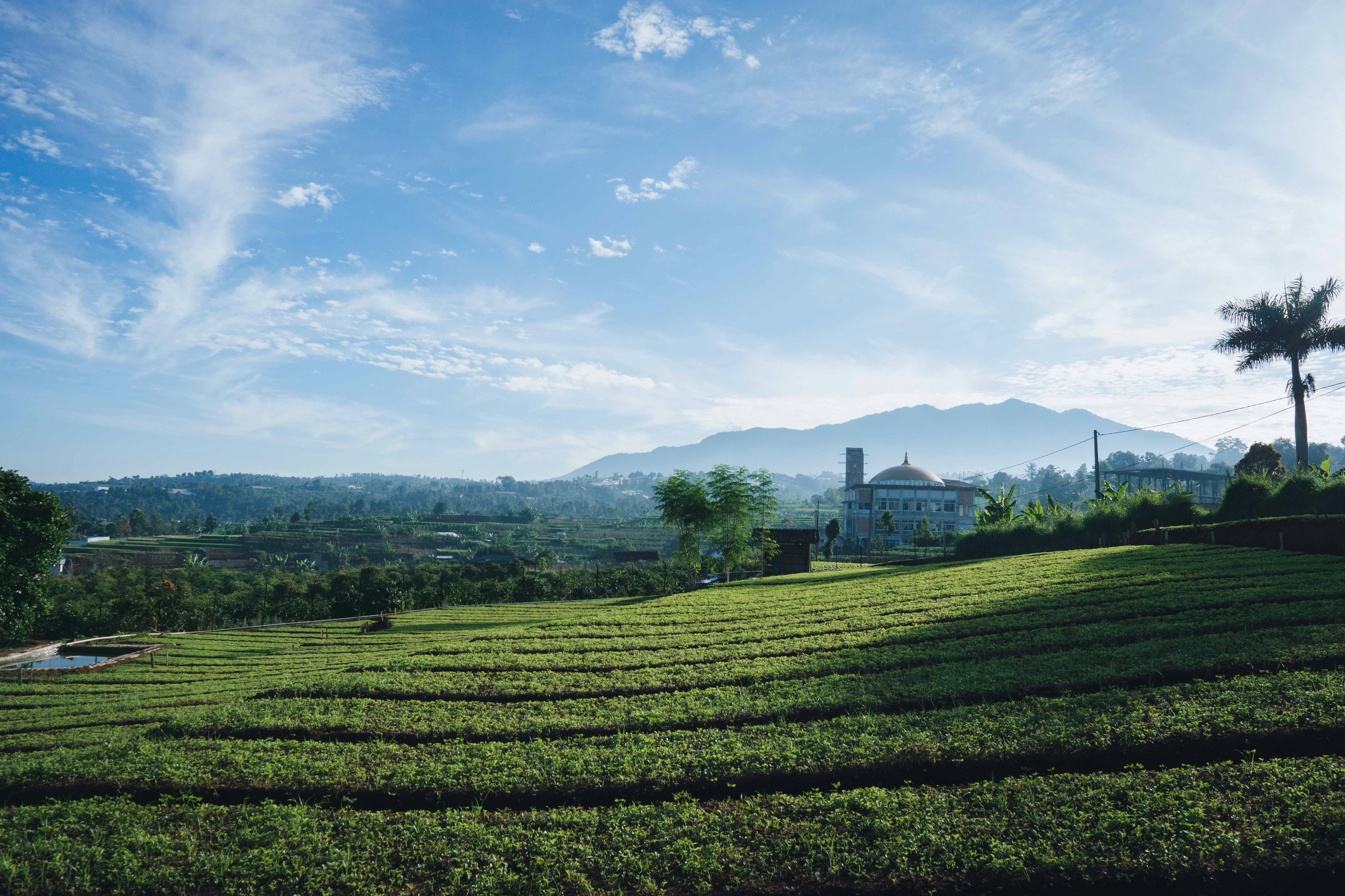 Photo by abdulridwanrr