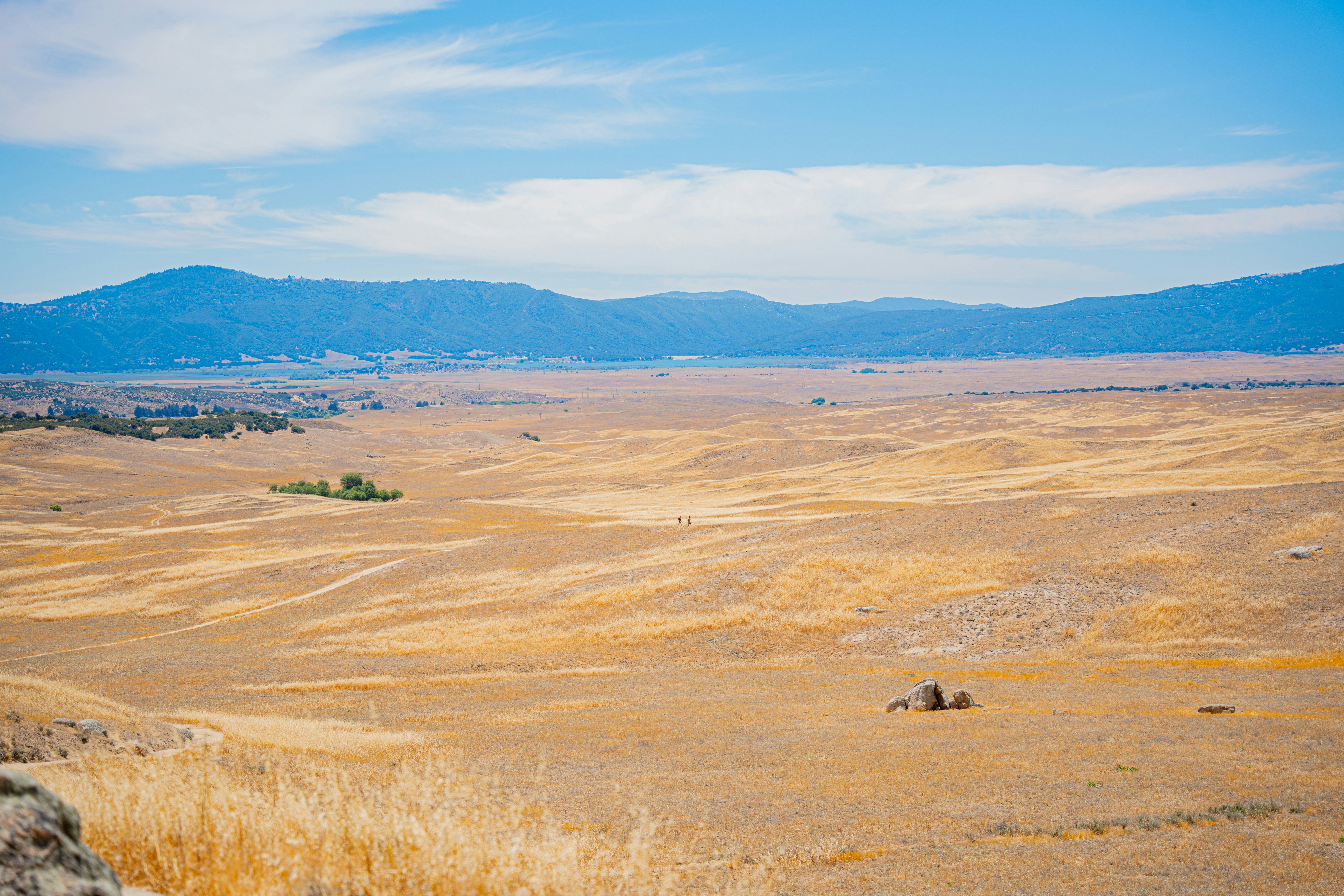 Photo by heribertomurr