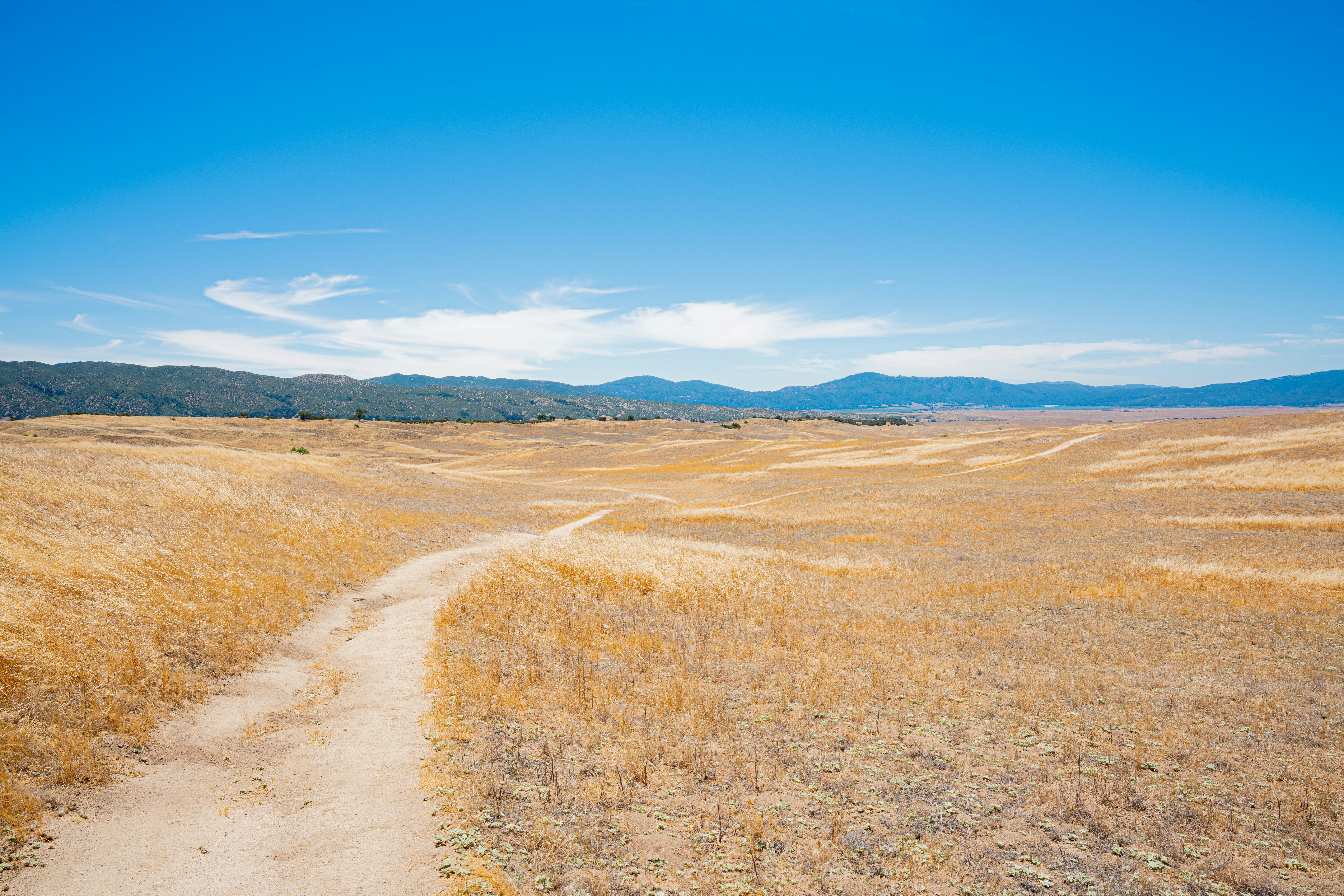 Photo by heribertomurr