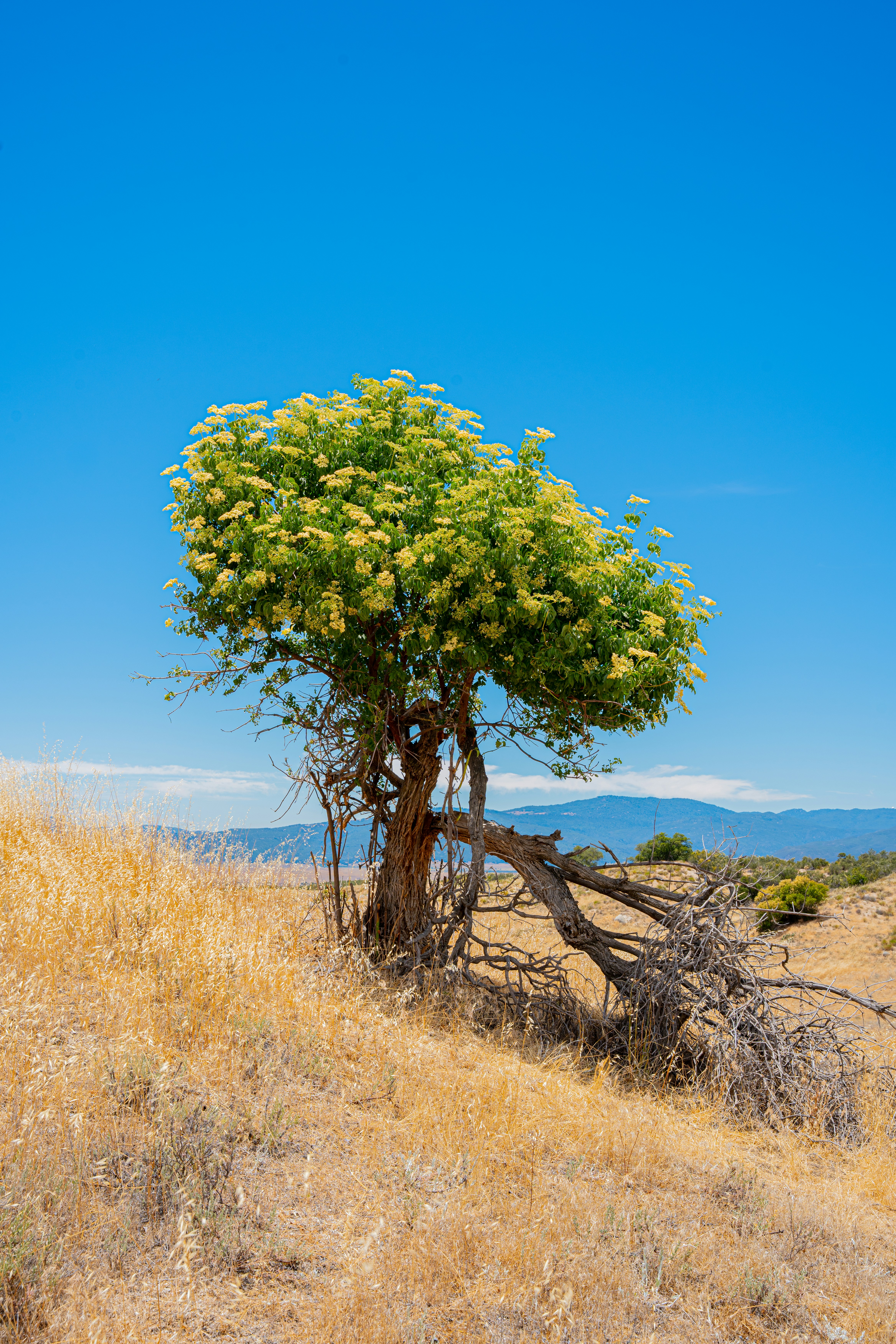 Field Trial: Low‑Cost Quit Kits & Micro‑Subscriptions — What Worked in 2026