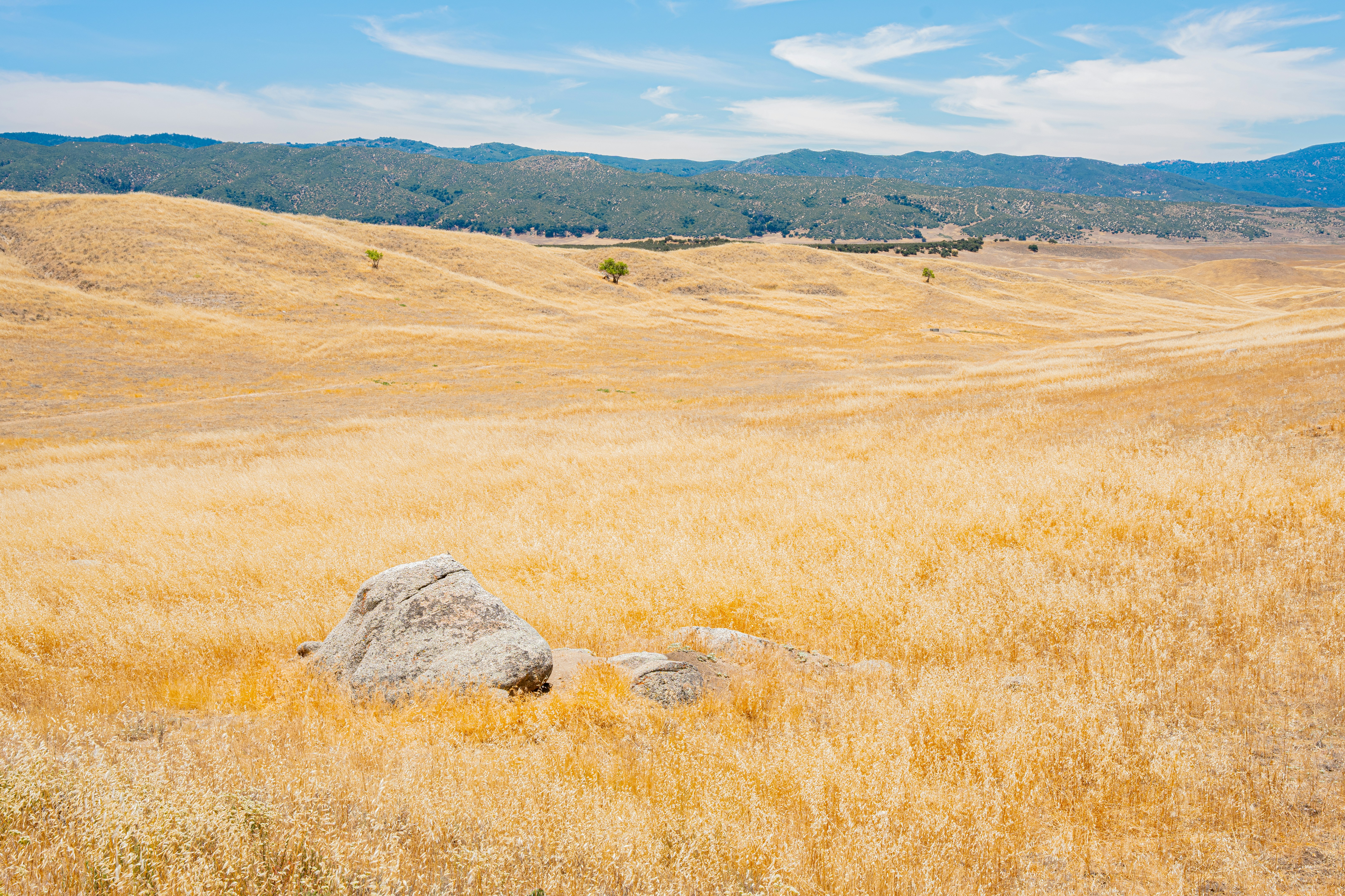 Photo by heribertomurr