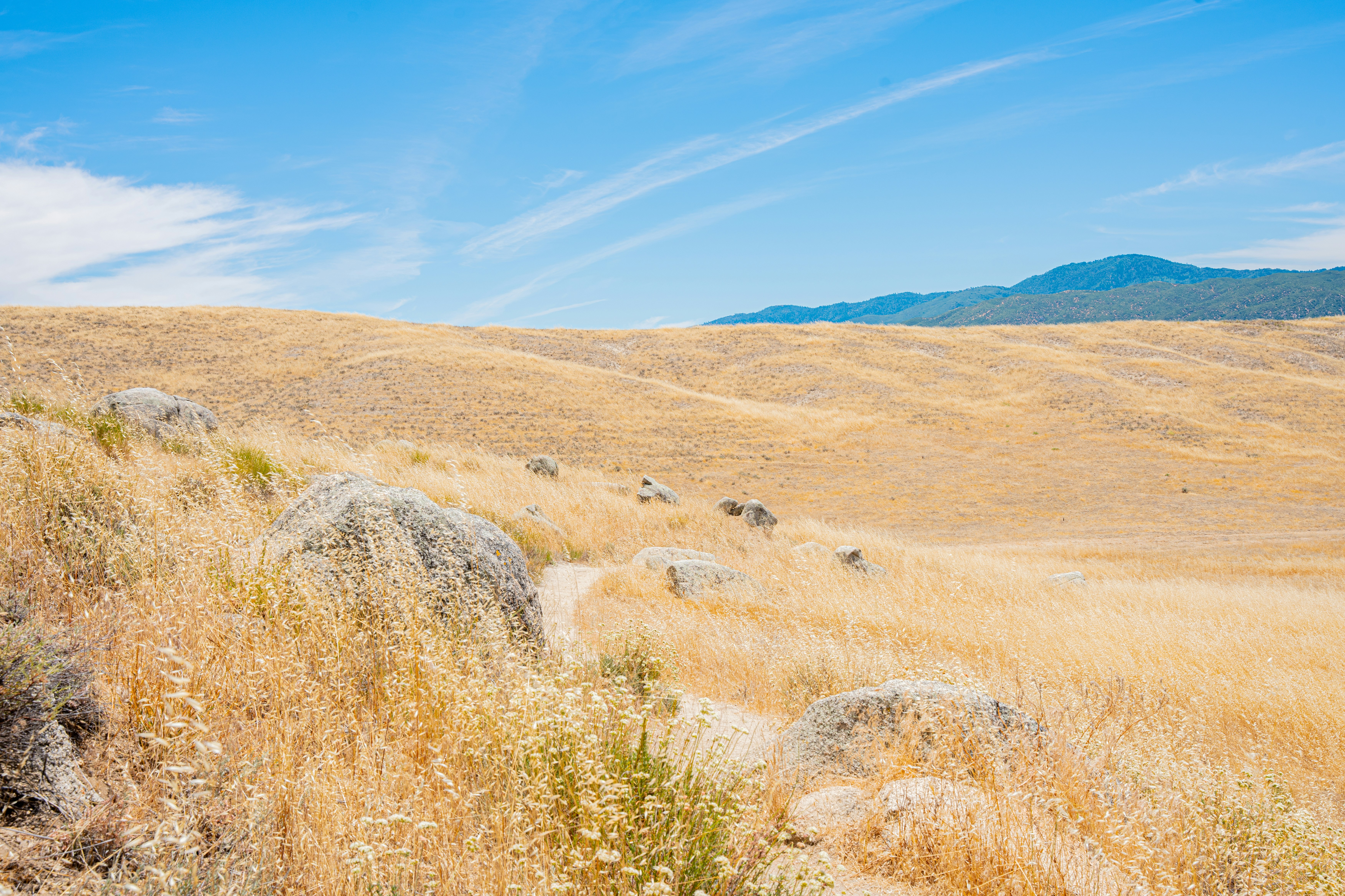 Photo by heribertomurr