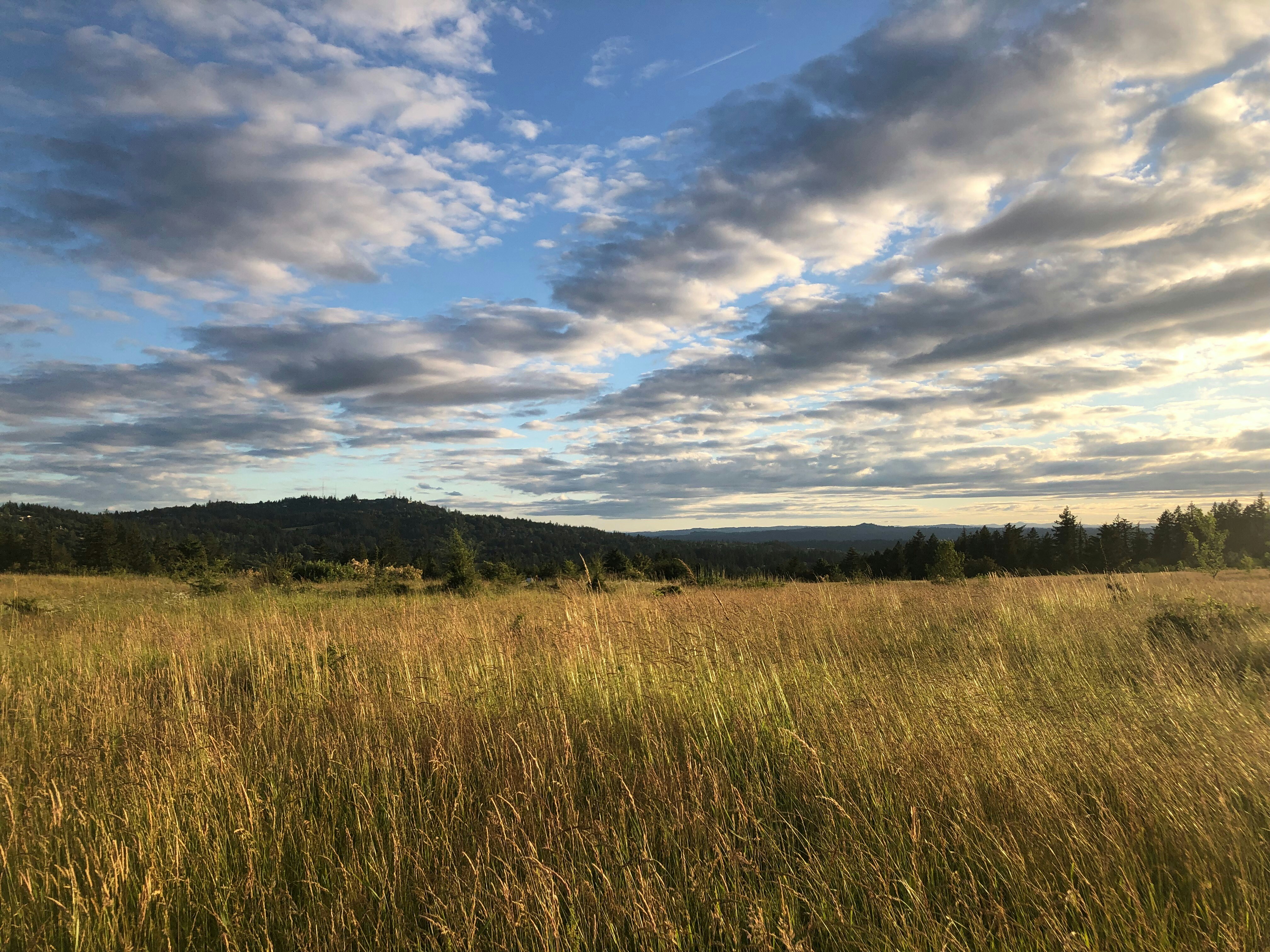 Photo by tattoo_jason