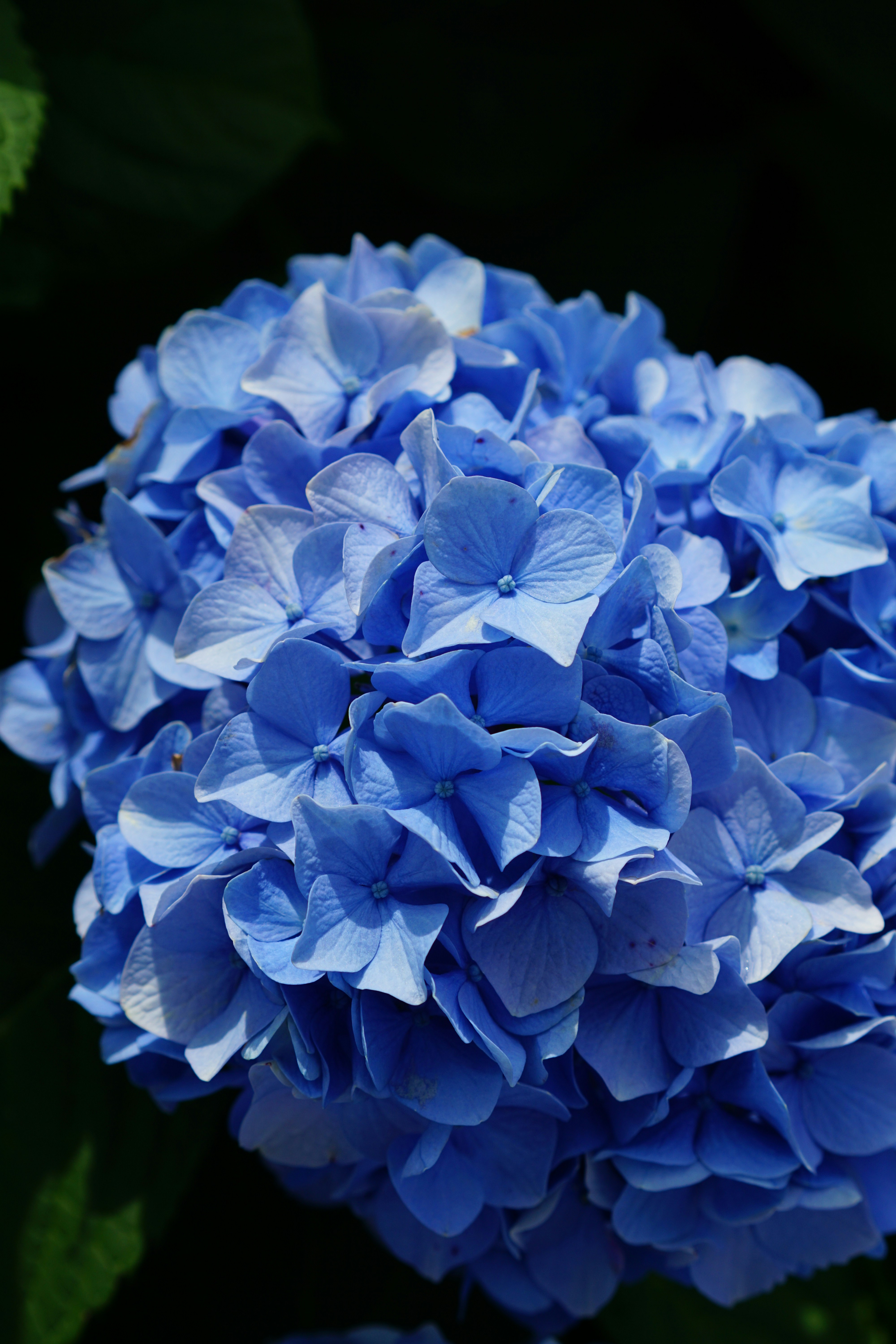 Photo by diadesigner