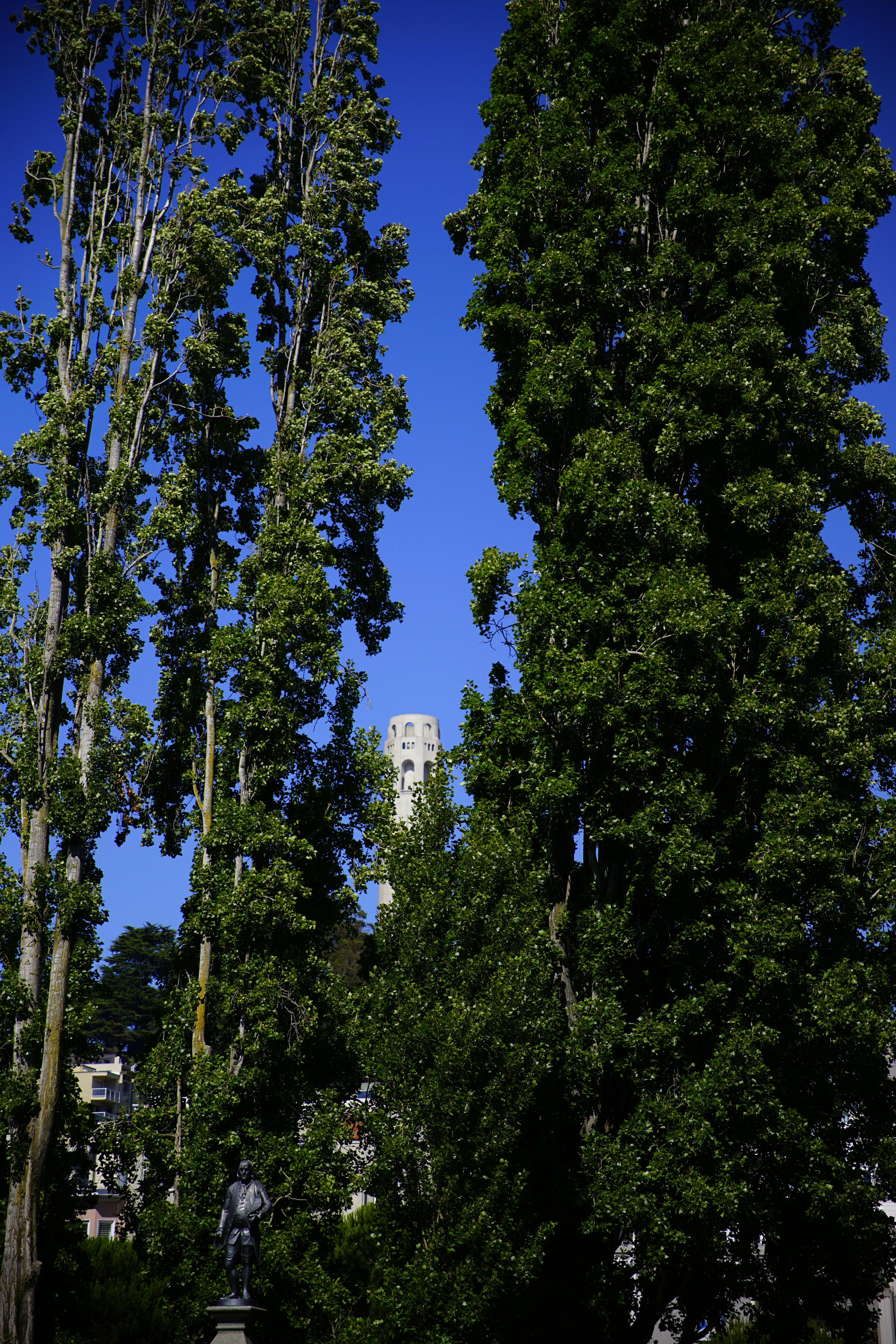 A man riding a skateboard down a street next to tall trees