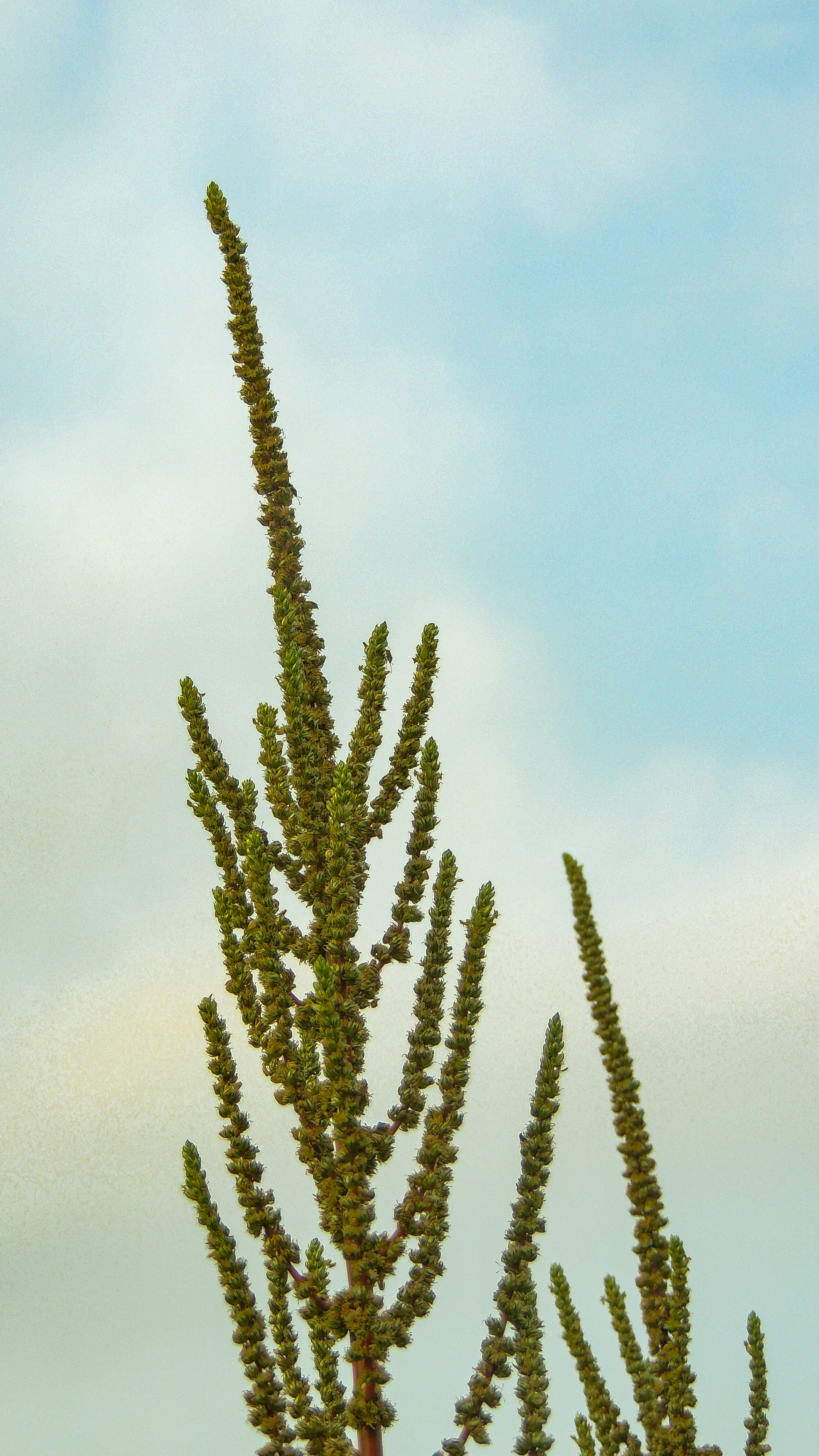 Photo by monoswita29