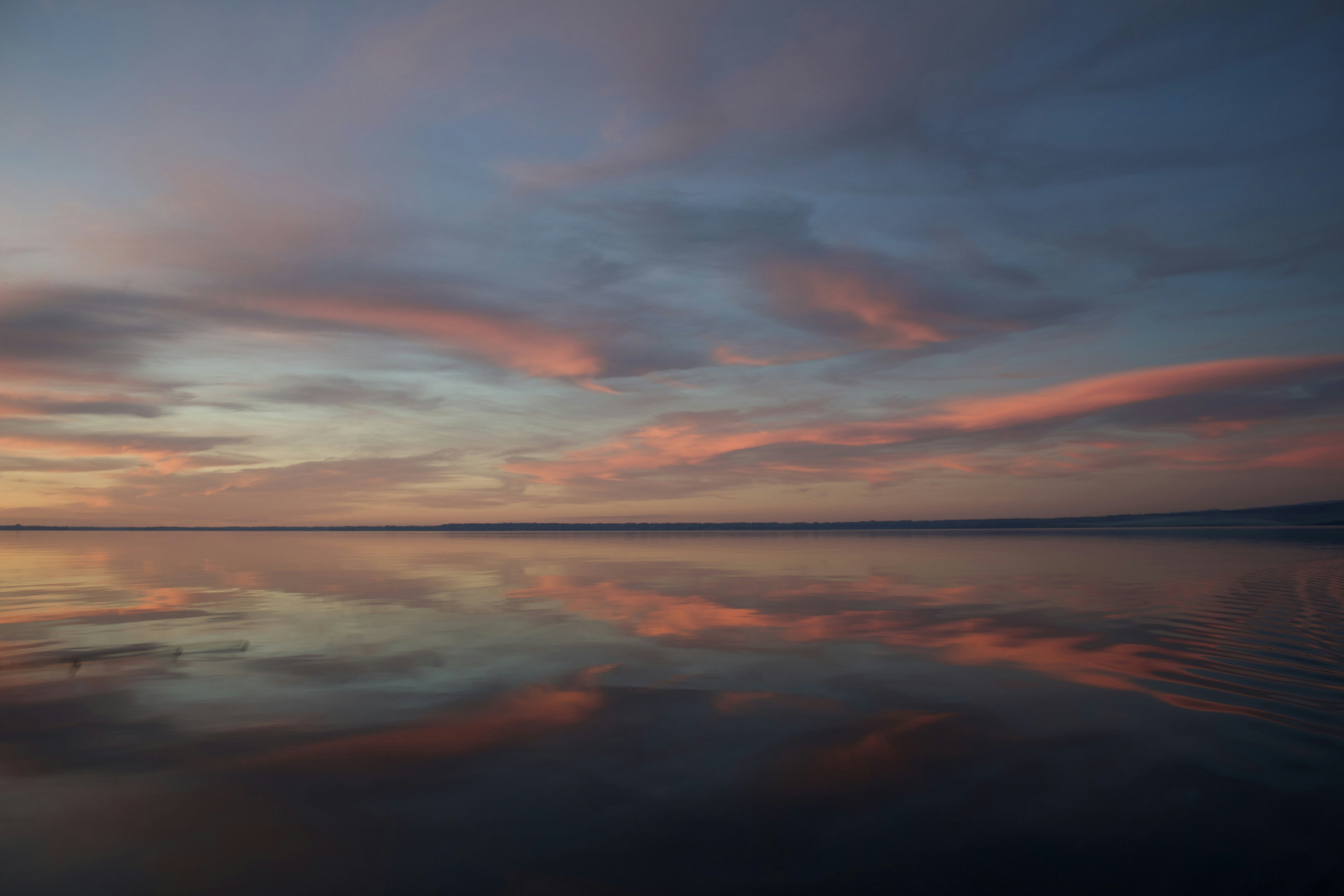 Photo by cirarrazaval