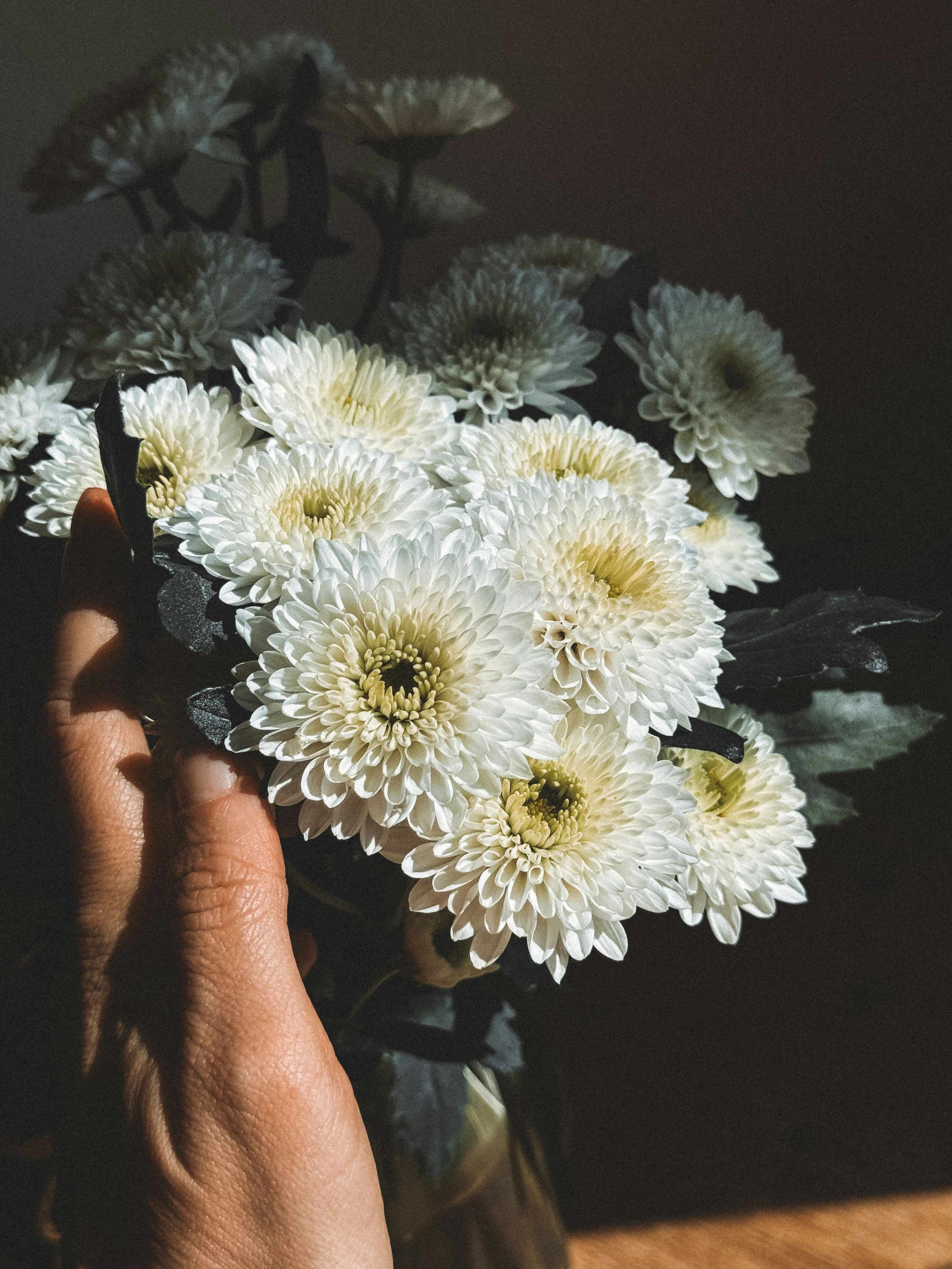 Photo by zvada_photo