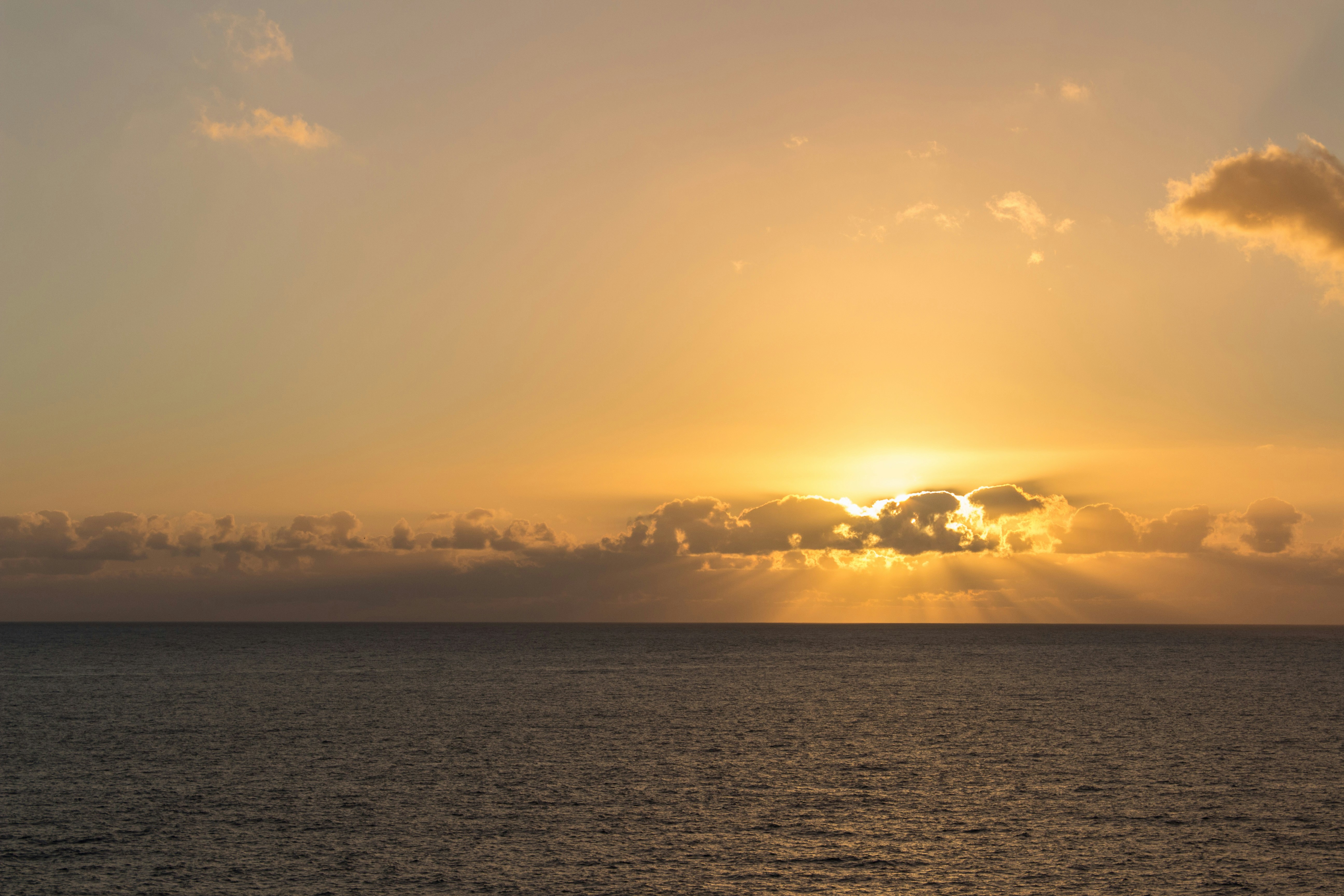 Photo by kennyvrphotography