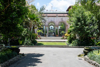 A driveway with trees and bushes surrounding it