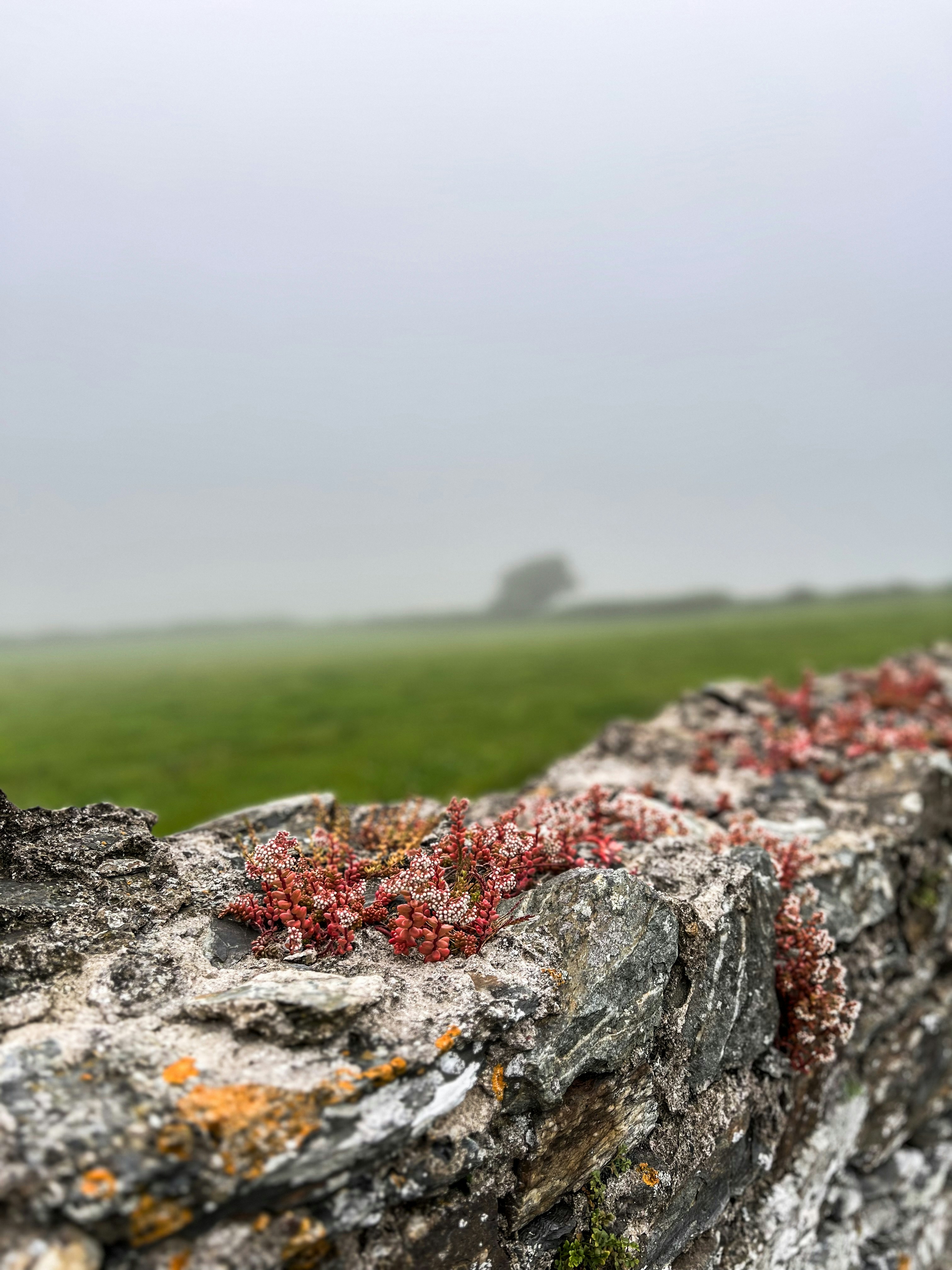 Hanging Church photo 3
