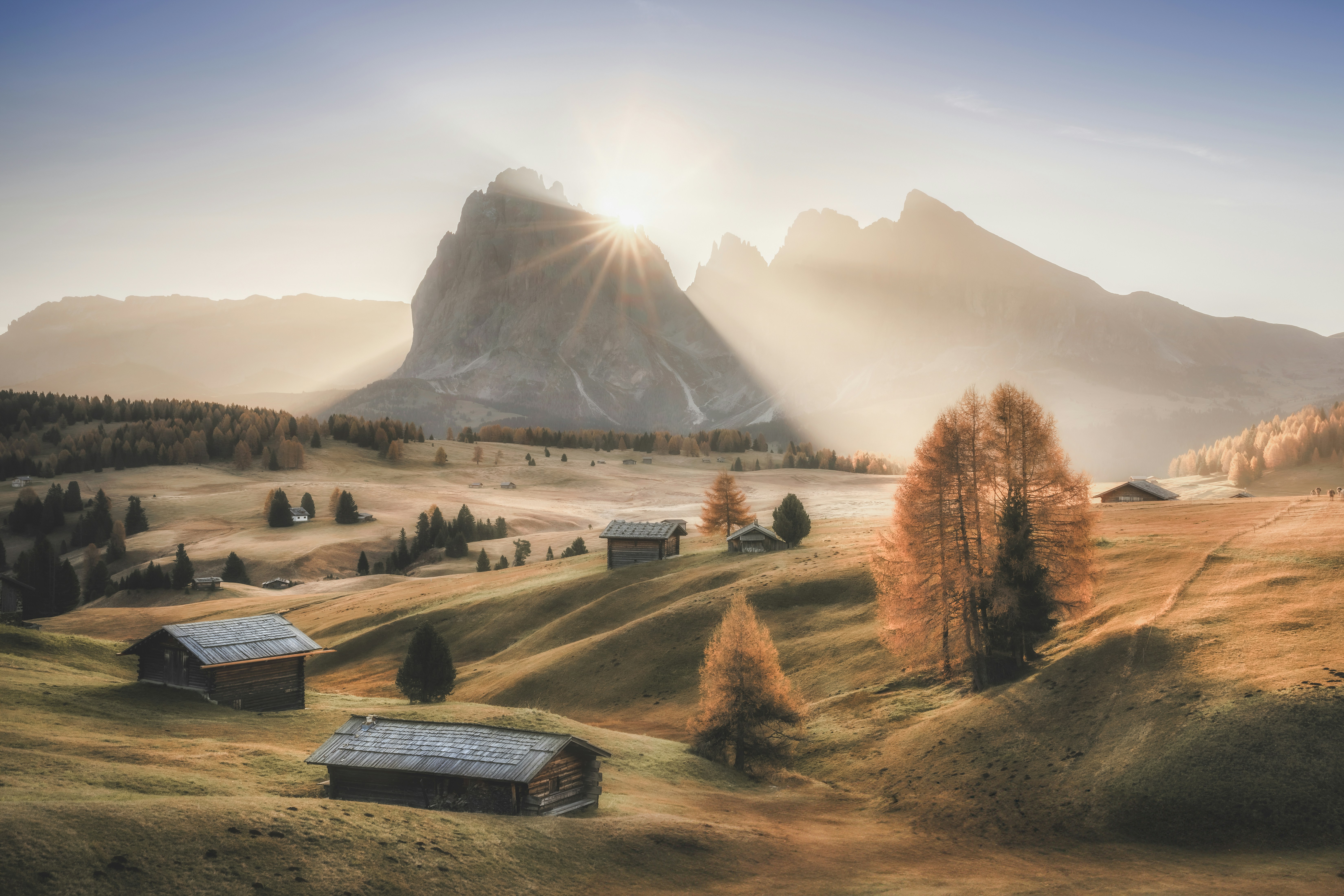 메가커피 창업비용: 궁금증 해결!