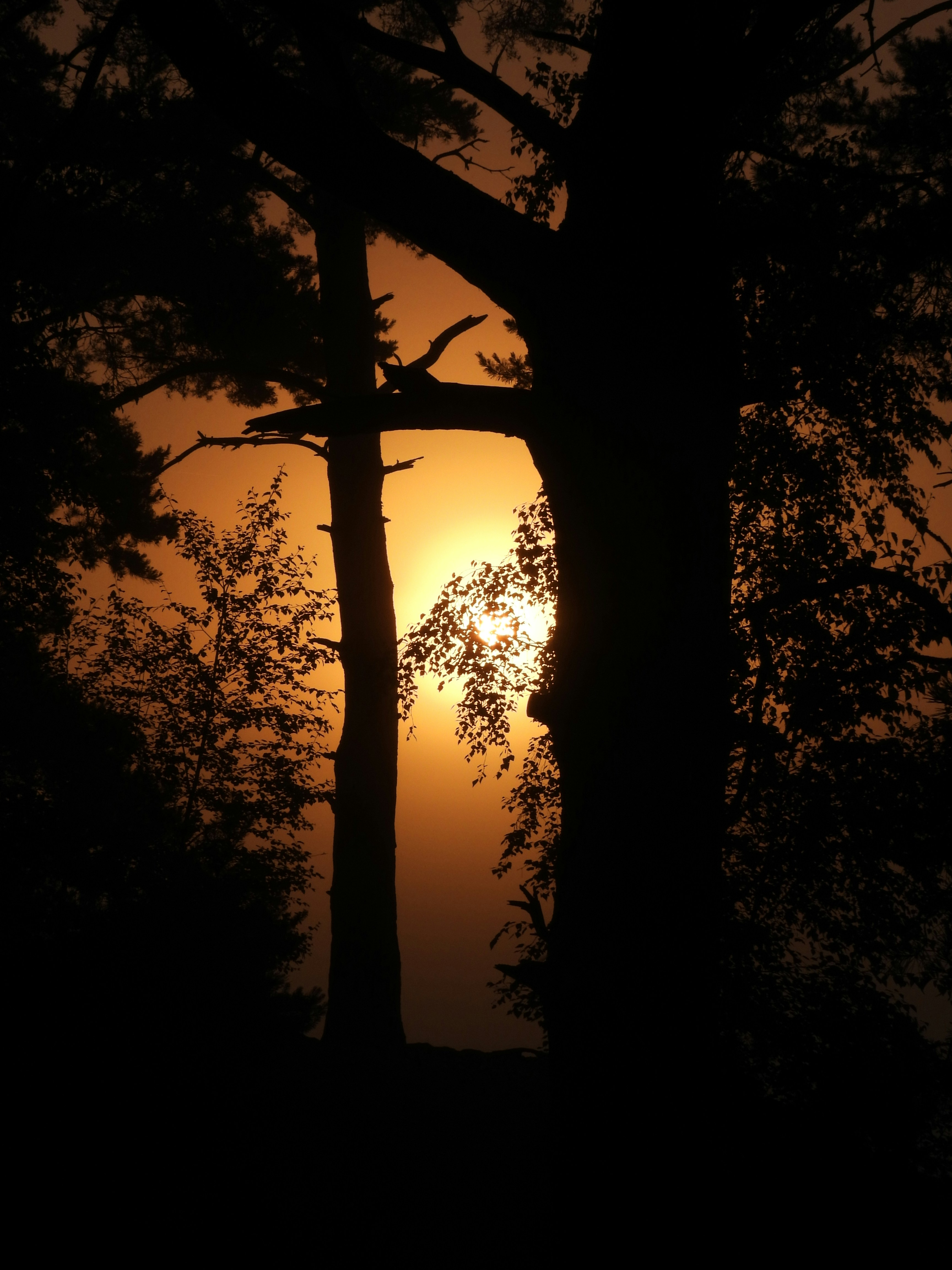 Photo by piero_vitelli