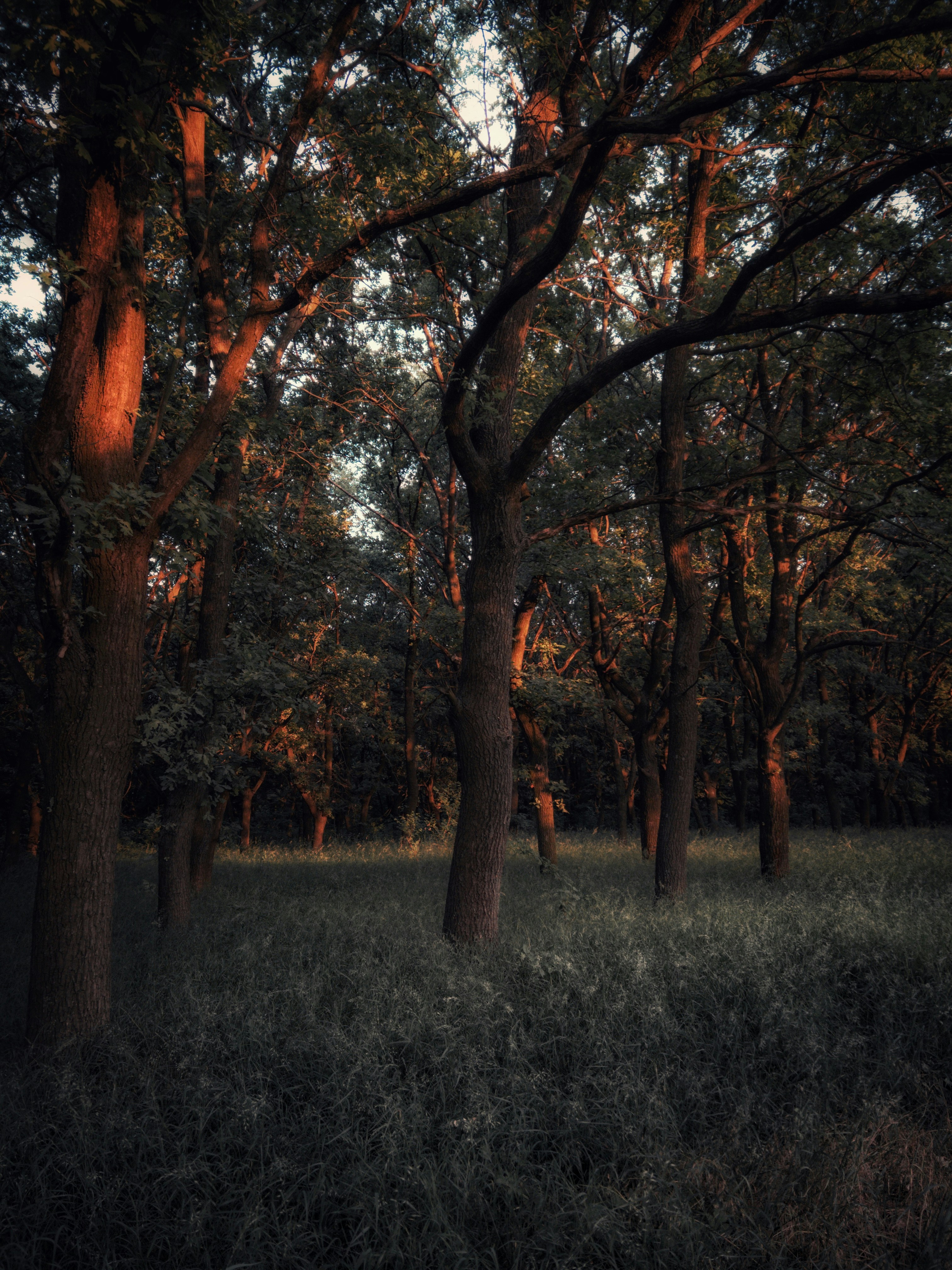 Photo by arthur_oleynik