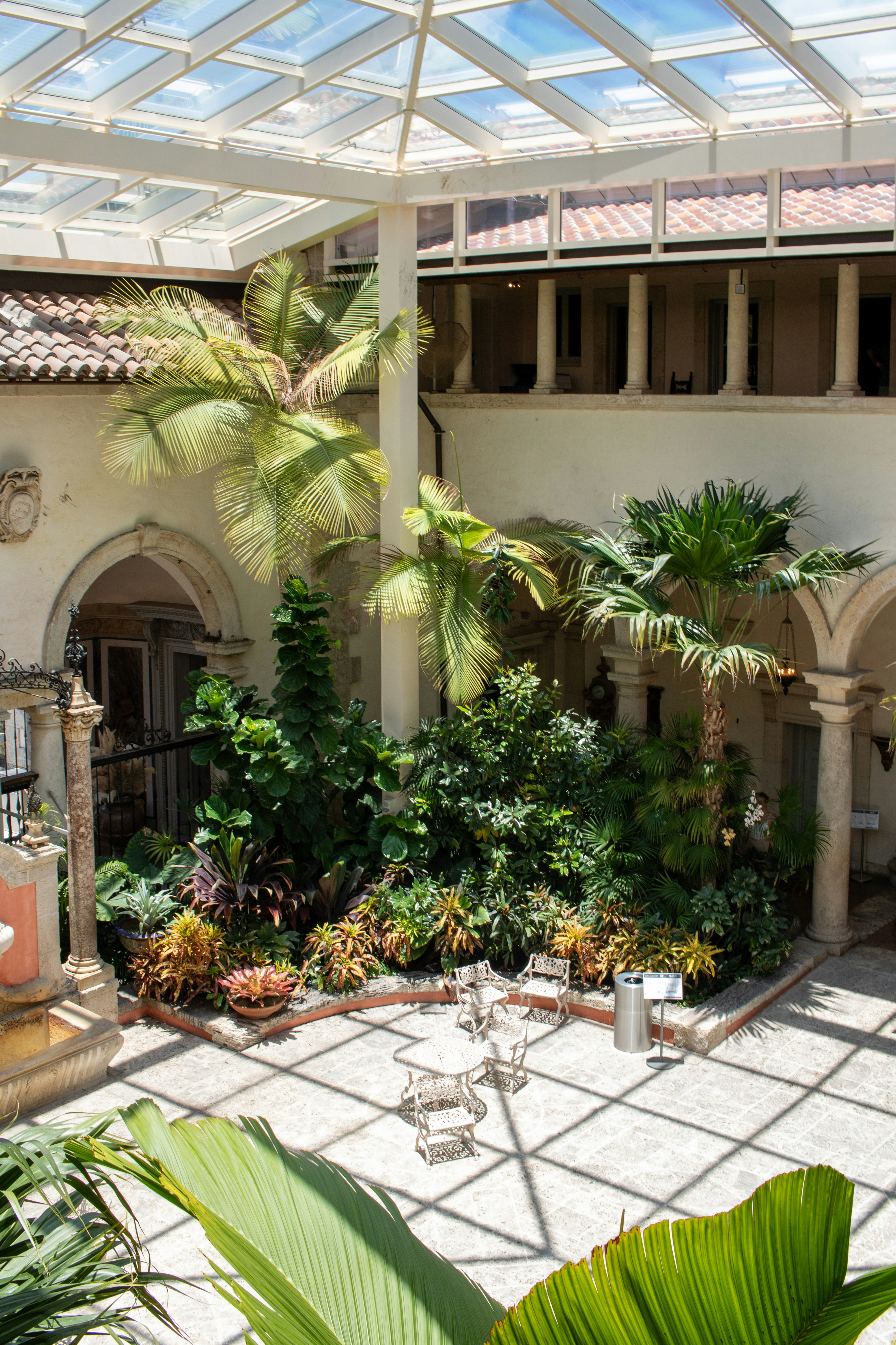 A courtyard with a glass roof and palm trees