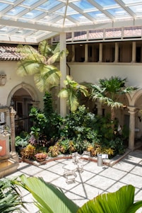 A courtyard with a glass roof and palm trees