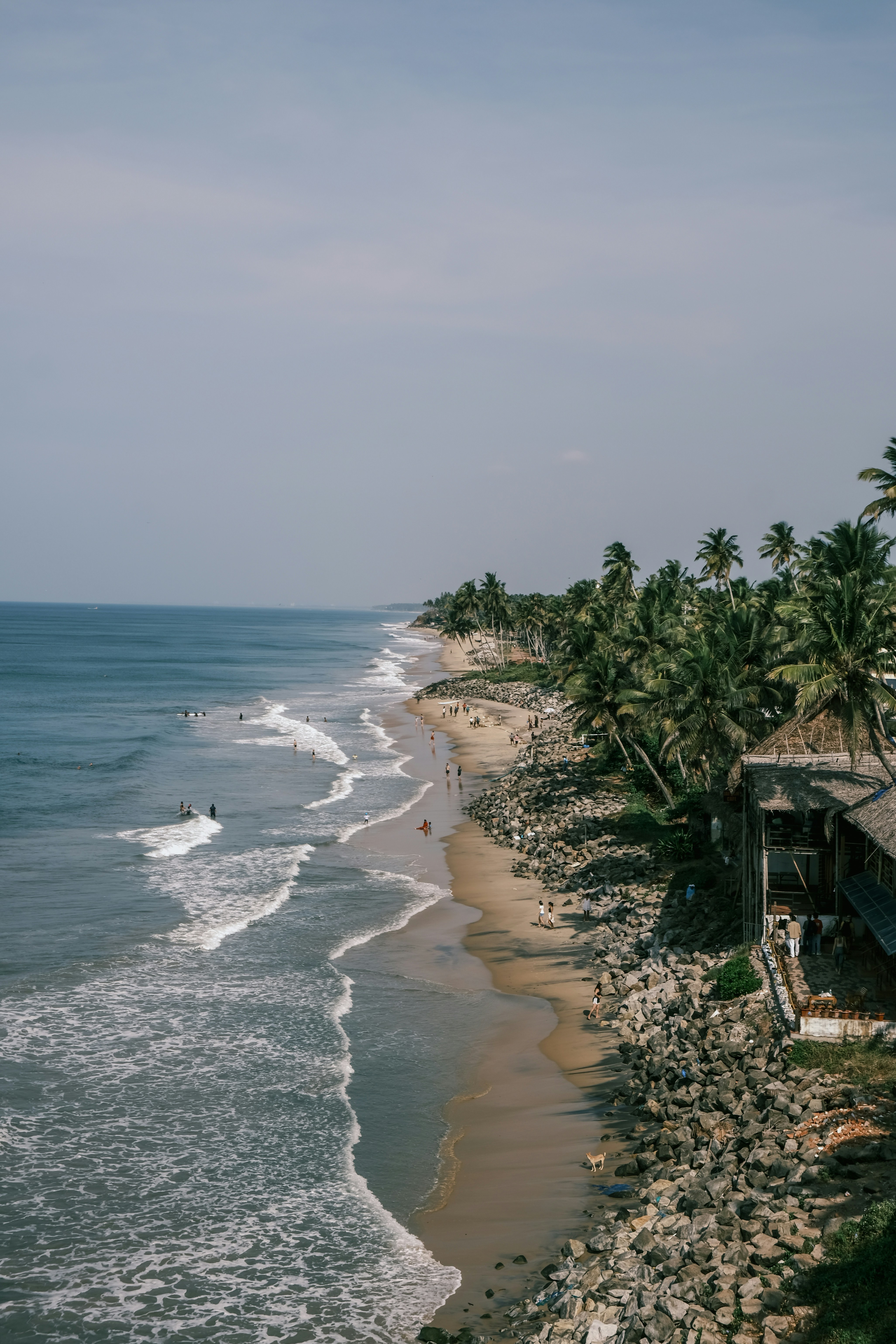 A view of a beach with palm trees and the ocean
