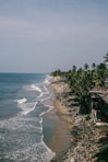A view of a beach with palm trees and the ocean