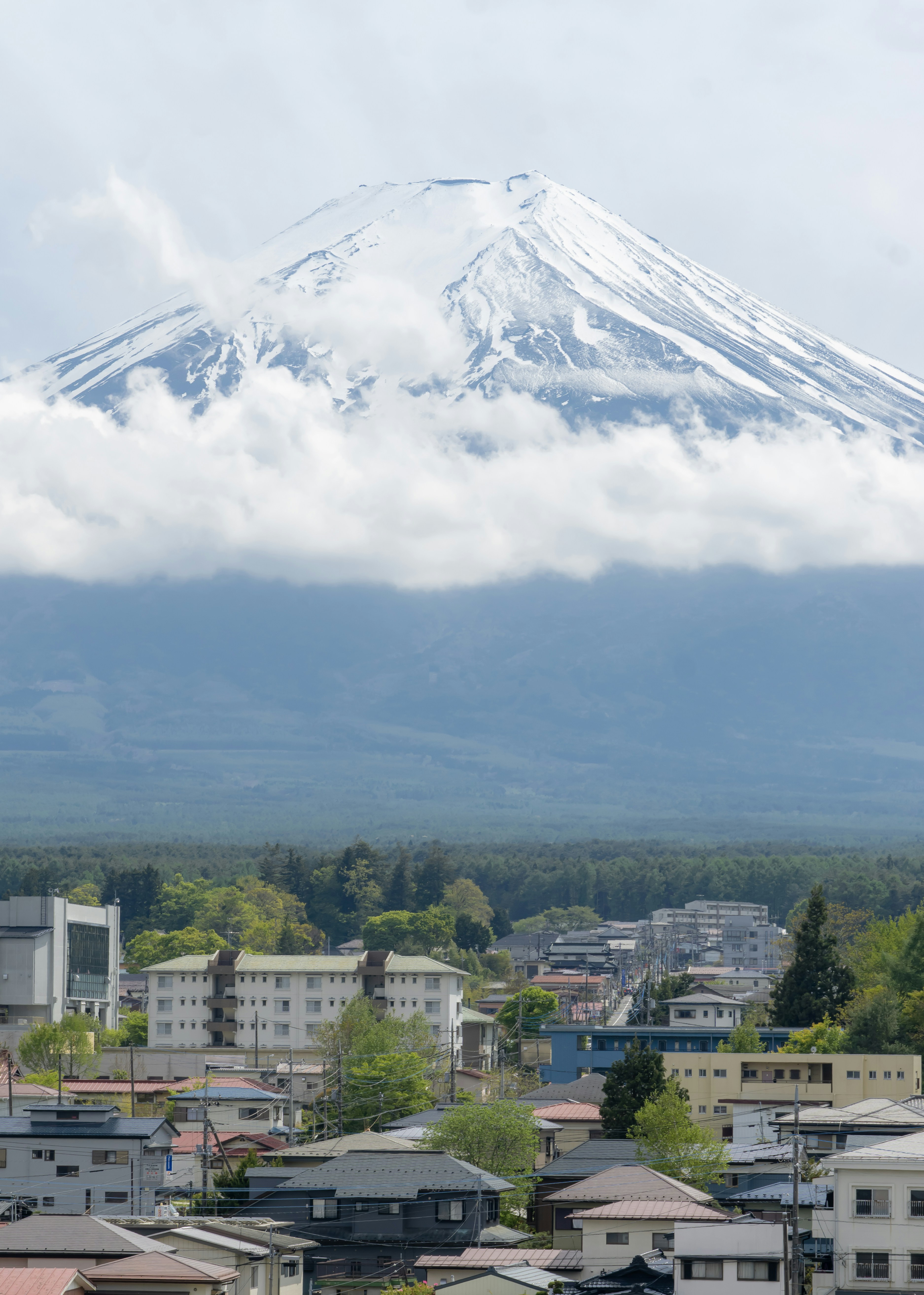 A view of a city with a mountain in the background