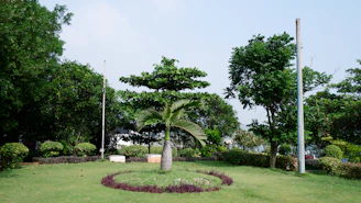 A grassy area with trees and a clock in the center