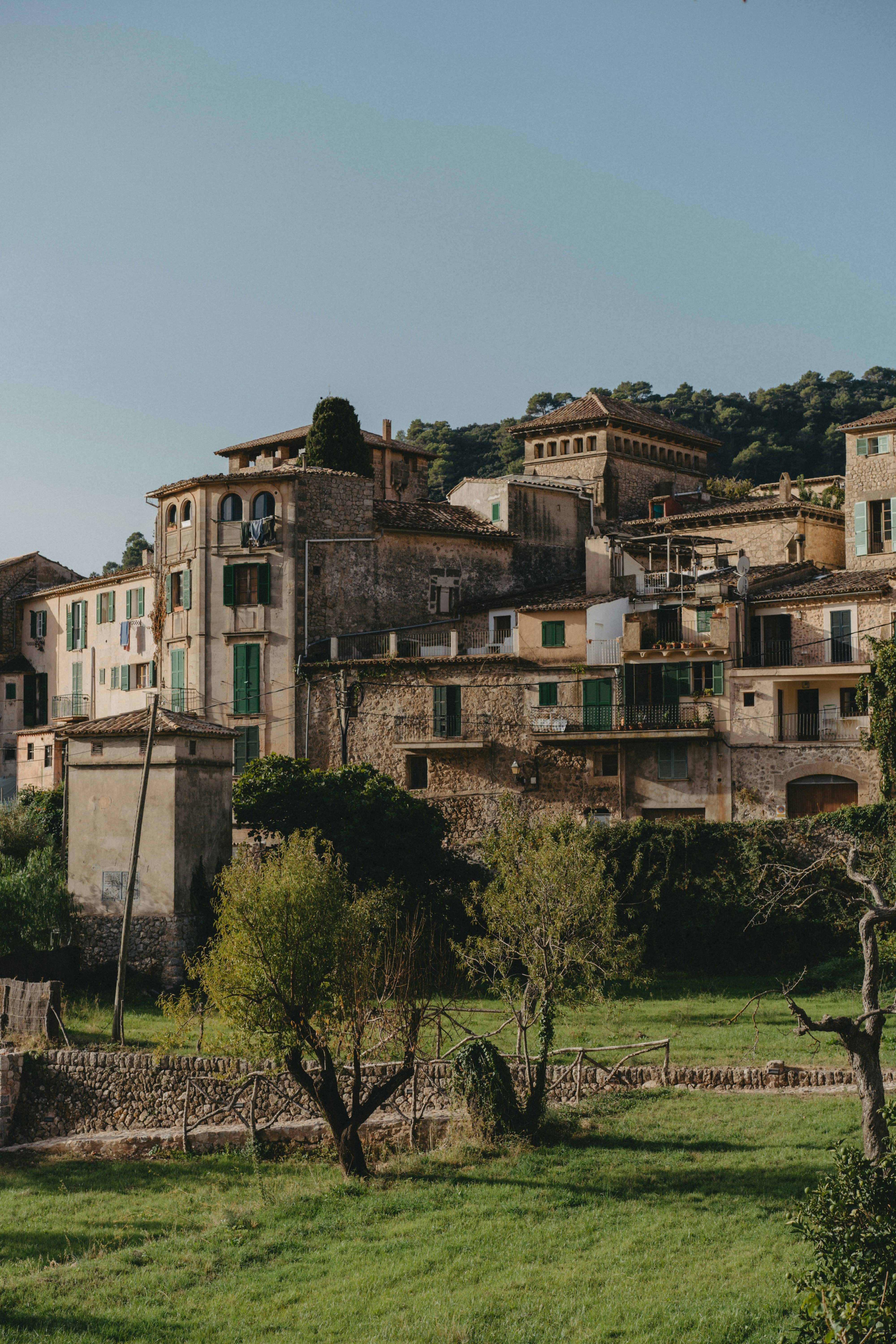 Photo by raymondpetrik