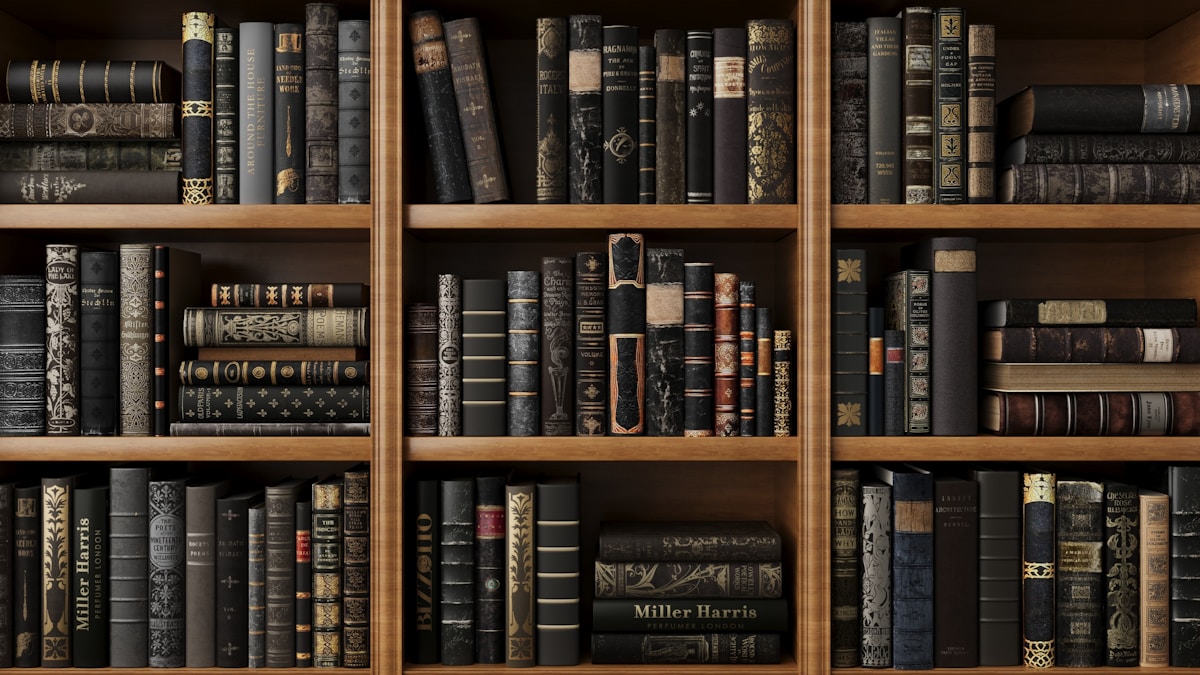 Strangers on My Shelves