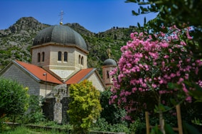 A church with a steeple surrounded by trees and flowers