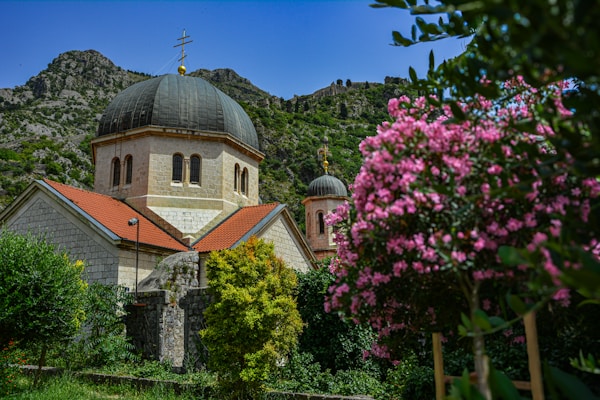 A church with a steeple surrounded by trees and flowers