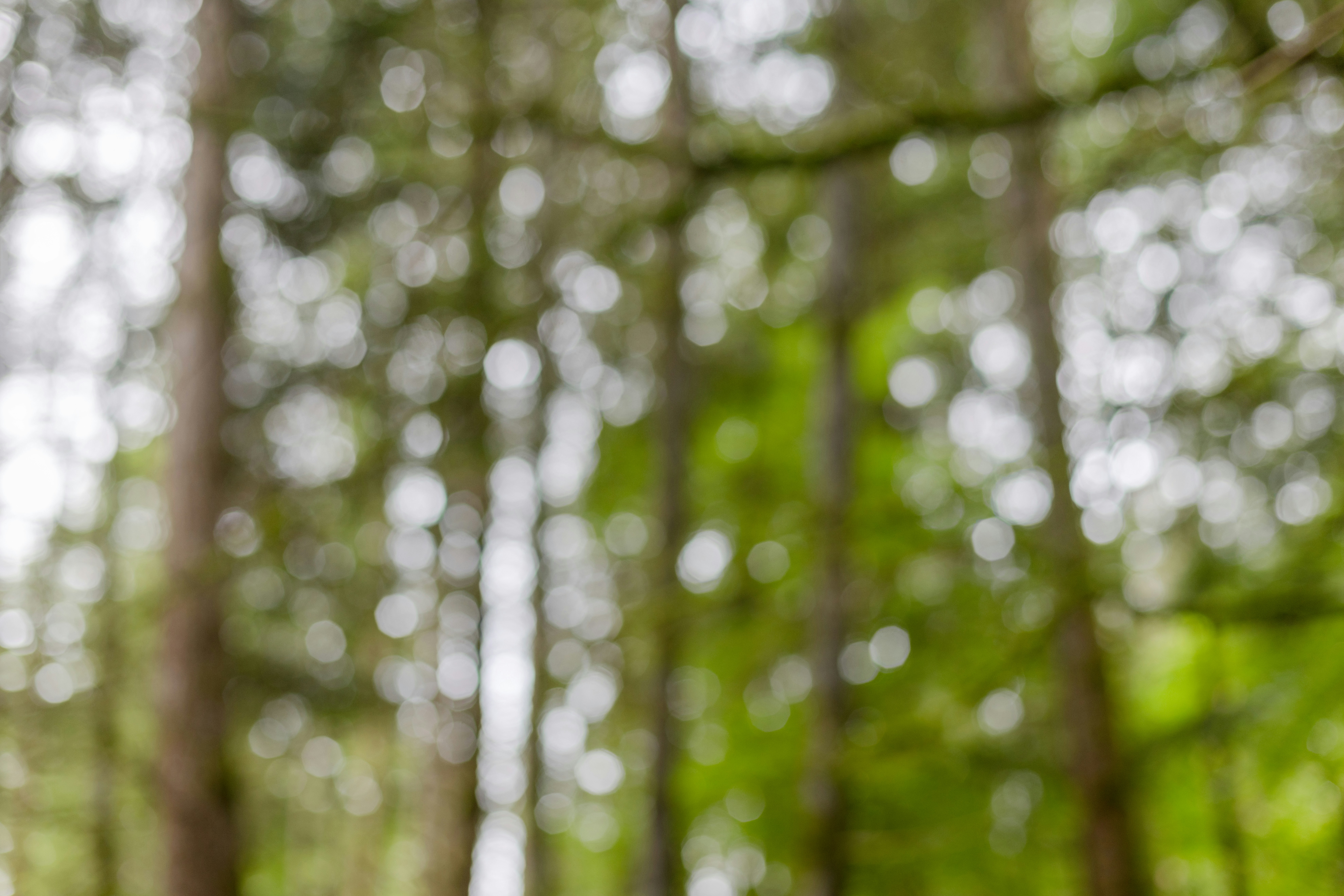 Photo by nataliekinnear