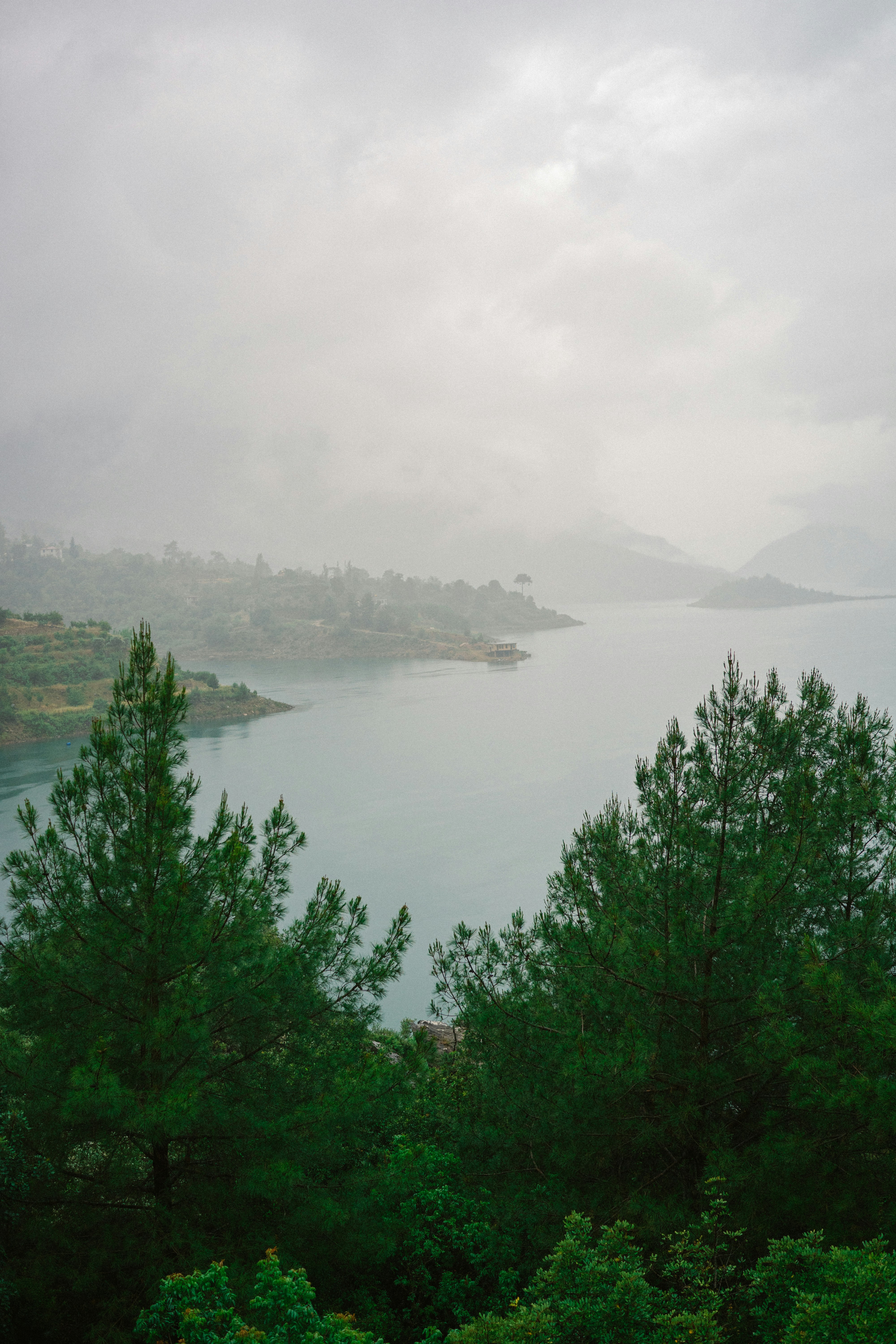 Photo by igorharrier