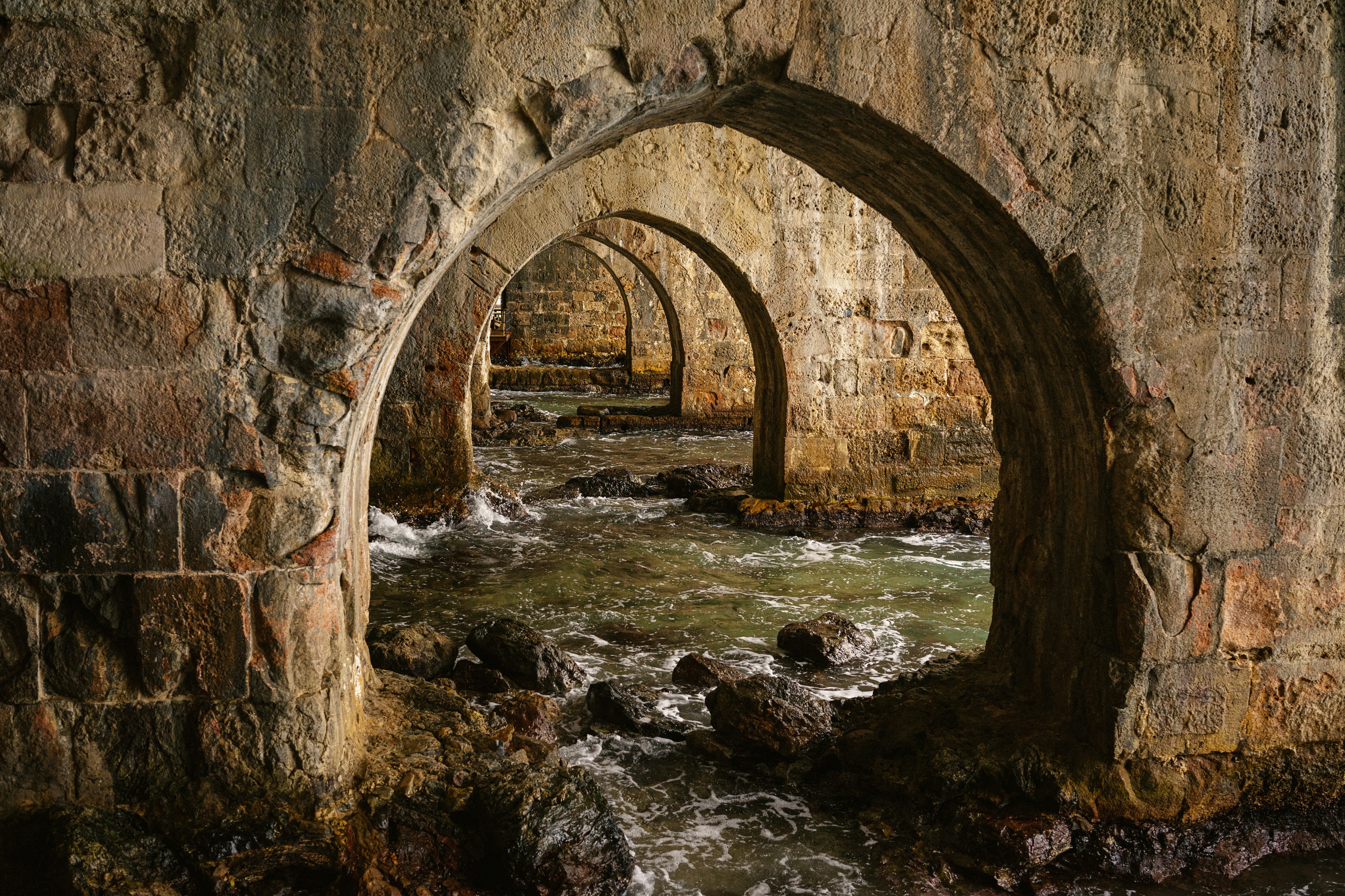 Photo by igorharrier