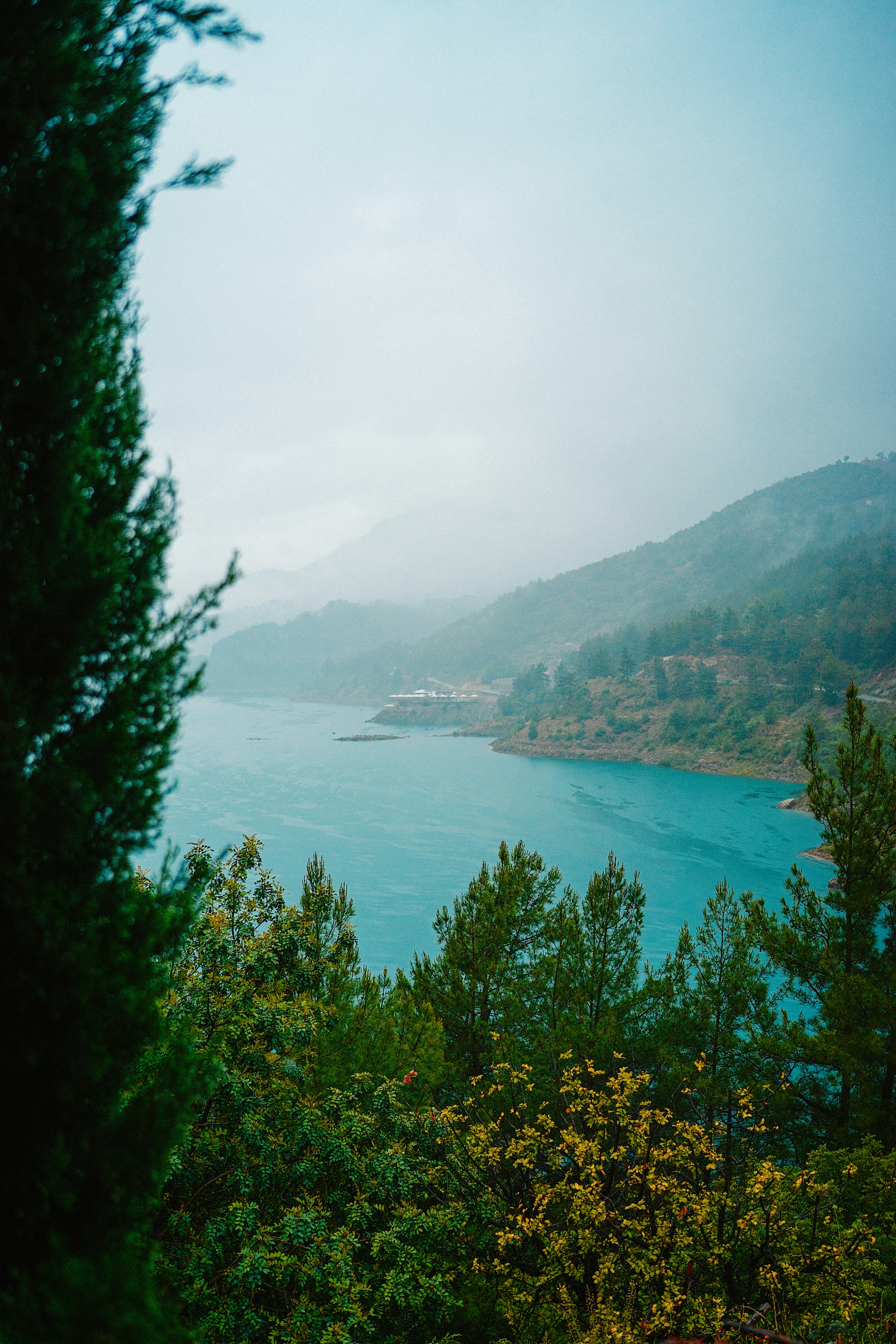 Photo by igorharrier