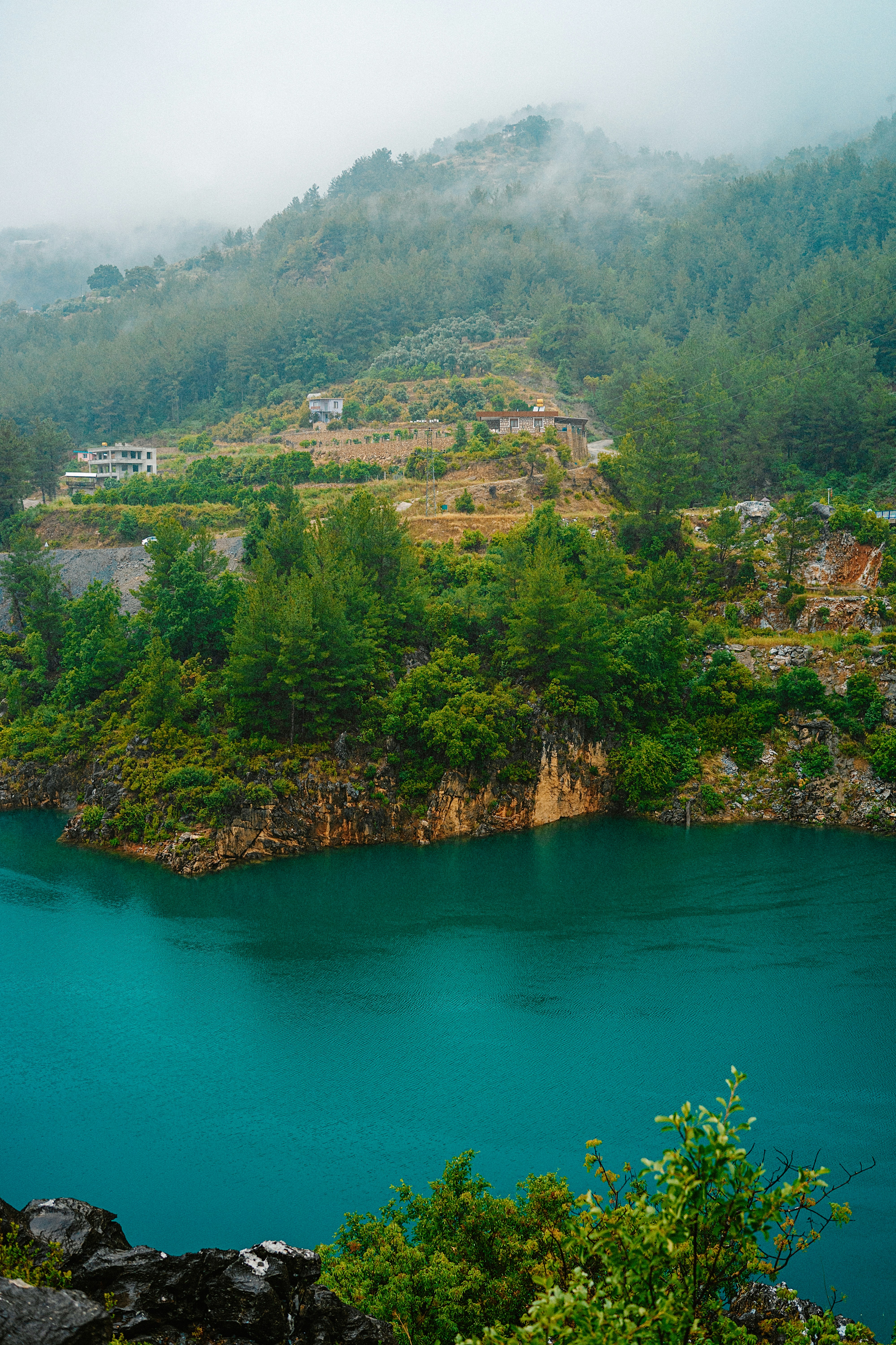 Photo by igorharrier